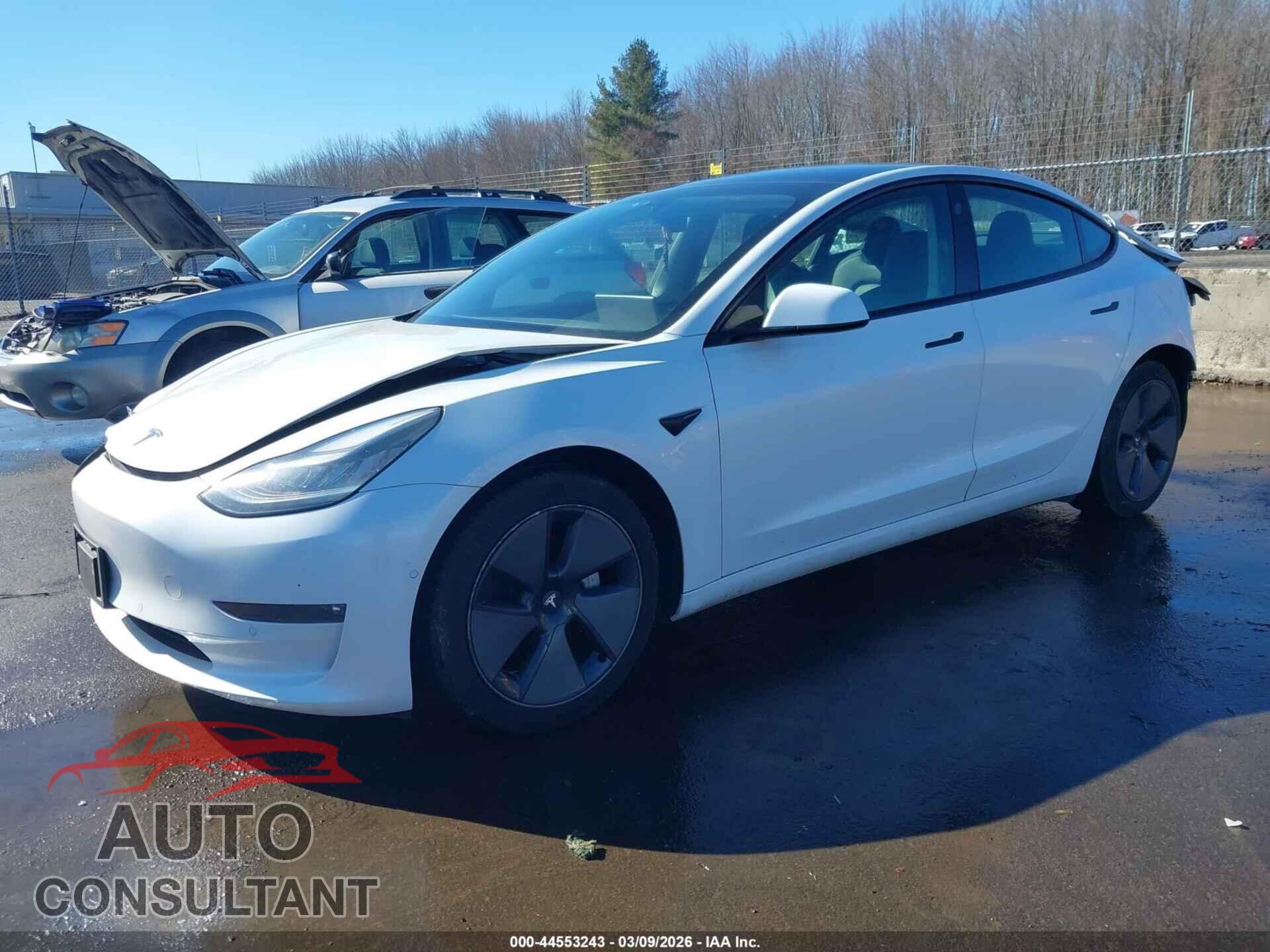 TESLA MODEL 3 2021 - 5YJ3E1EB8MF859049