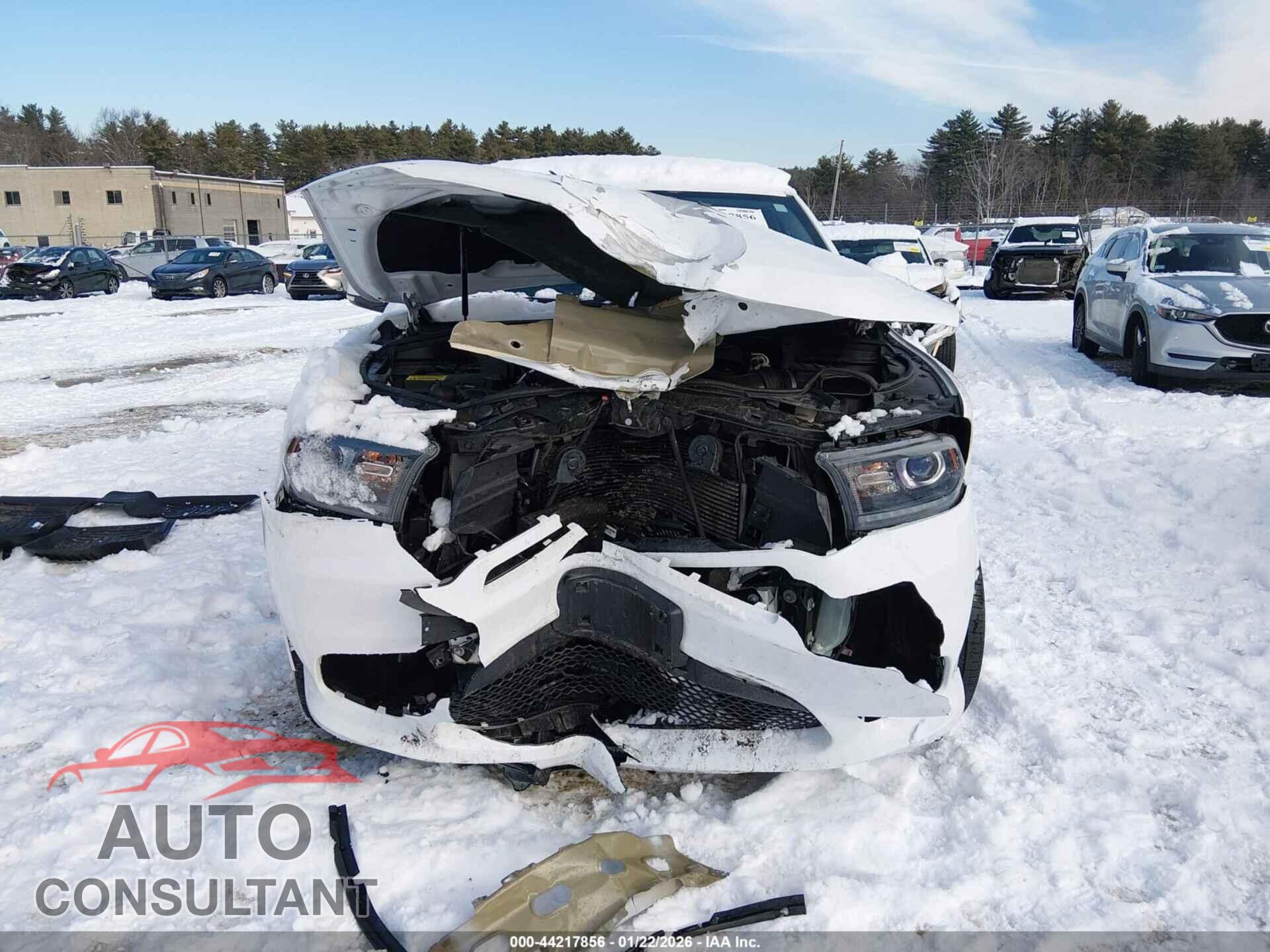 DODGE DURANGO 2019 - 1C4RDJDG2KC723617