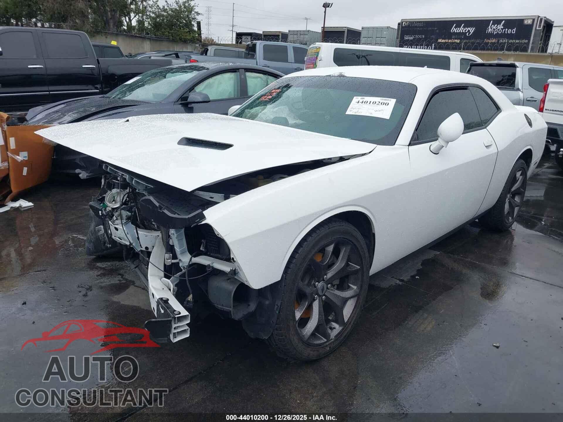 DODGE CHALLENGER 2019 - 2C3CDZAG8KH744224