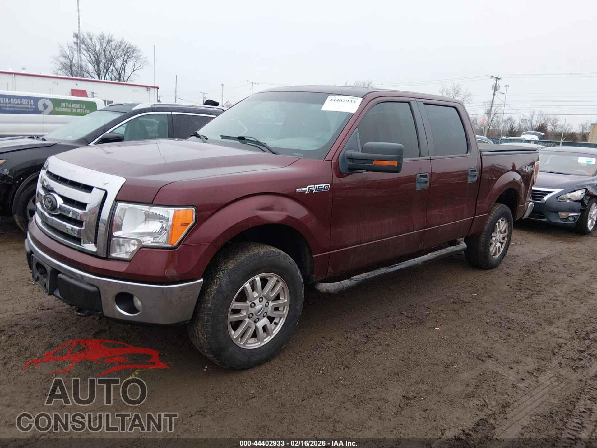 FORD F-150 2010 - 1FTFW1EV5AKA56184