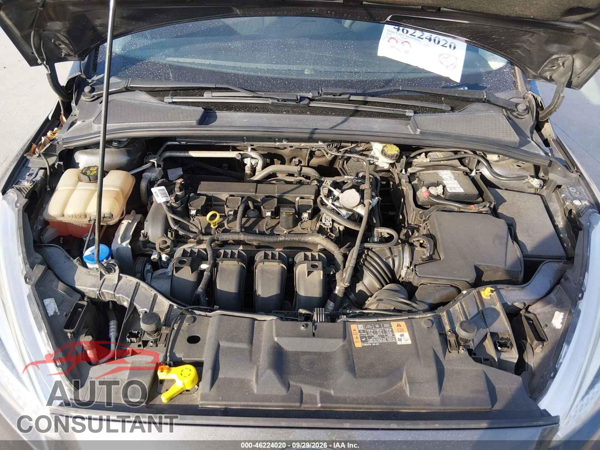 FORD FOCUS 2016 - 1FADP3F26GL331767