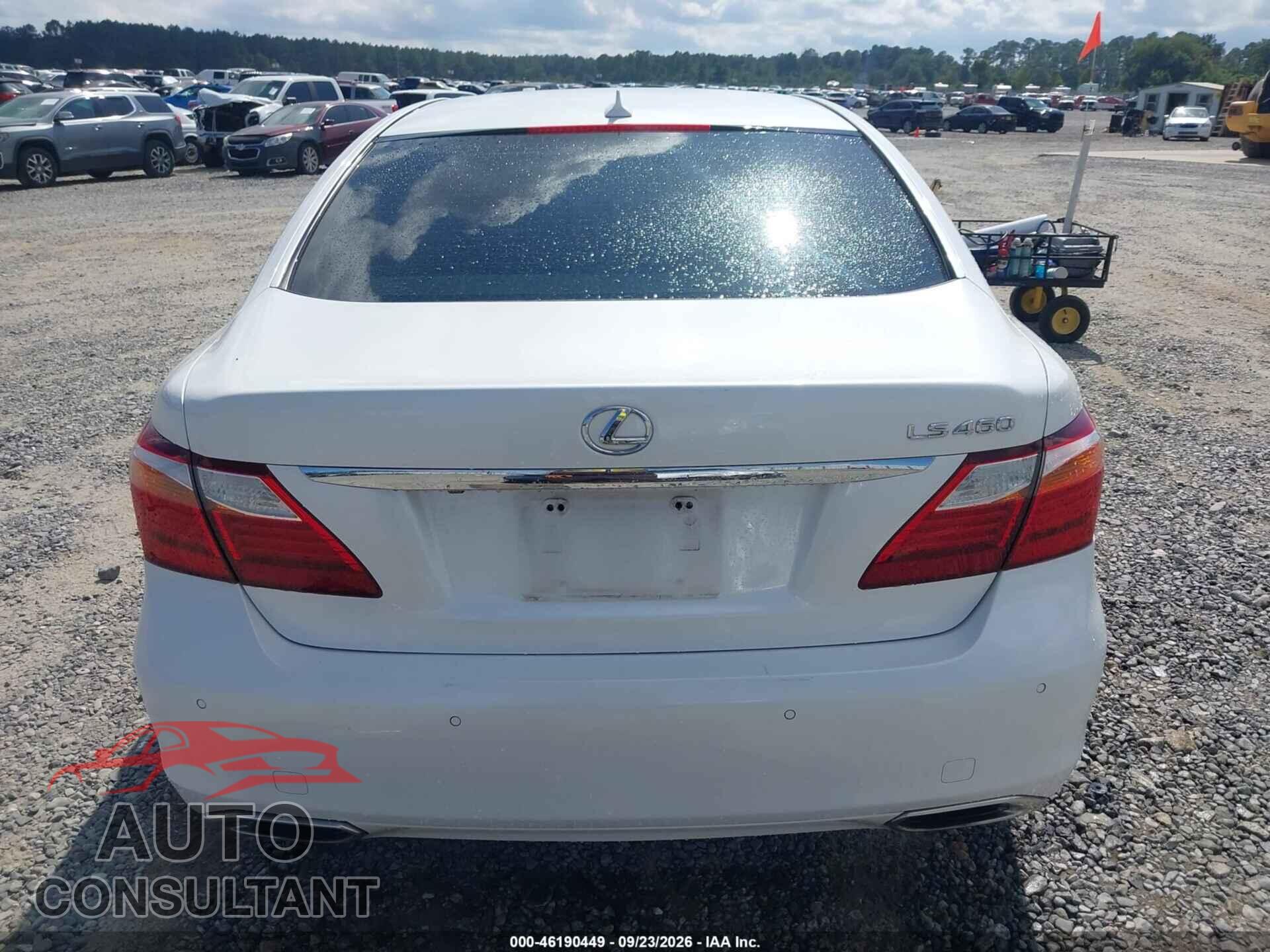 LEXUS LS 460 2011 - JTHBL5EF3B5106537