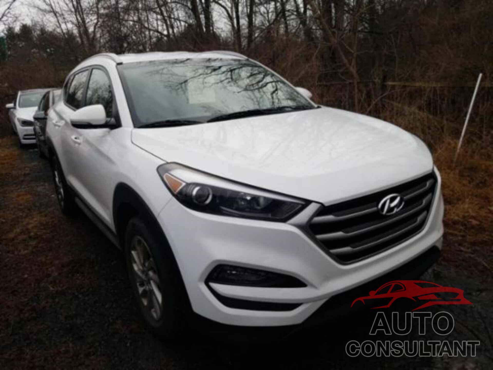 HYUNDAI TUCSON 2017 - KM8J33A47HU404962