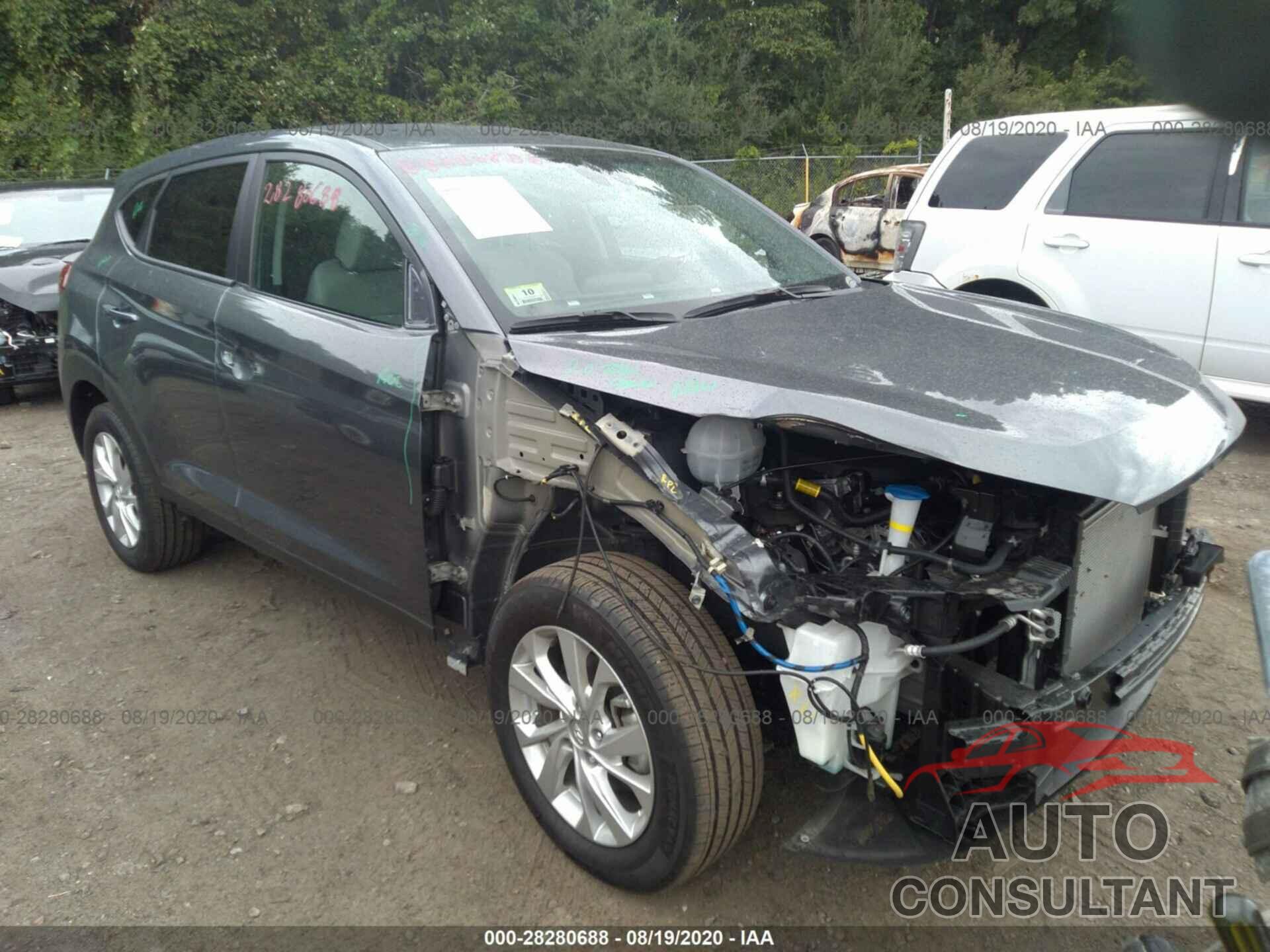 HYUNDAI TUCSON 2019 - KM8J2CA4XKU999509