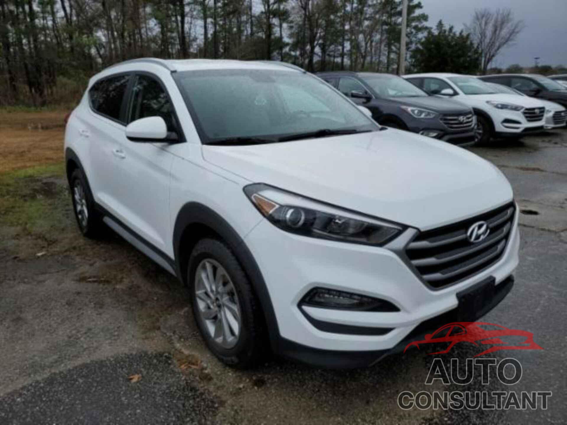 HYUNDAI TUCSON 2017 - KM8J3CA4XHU560834