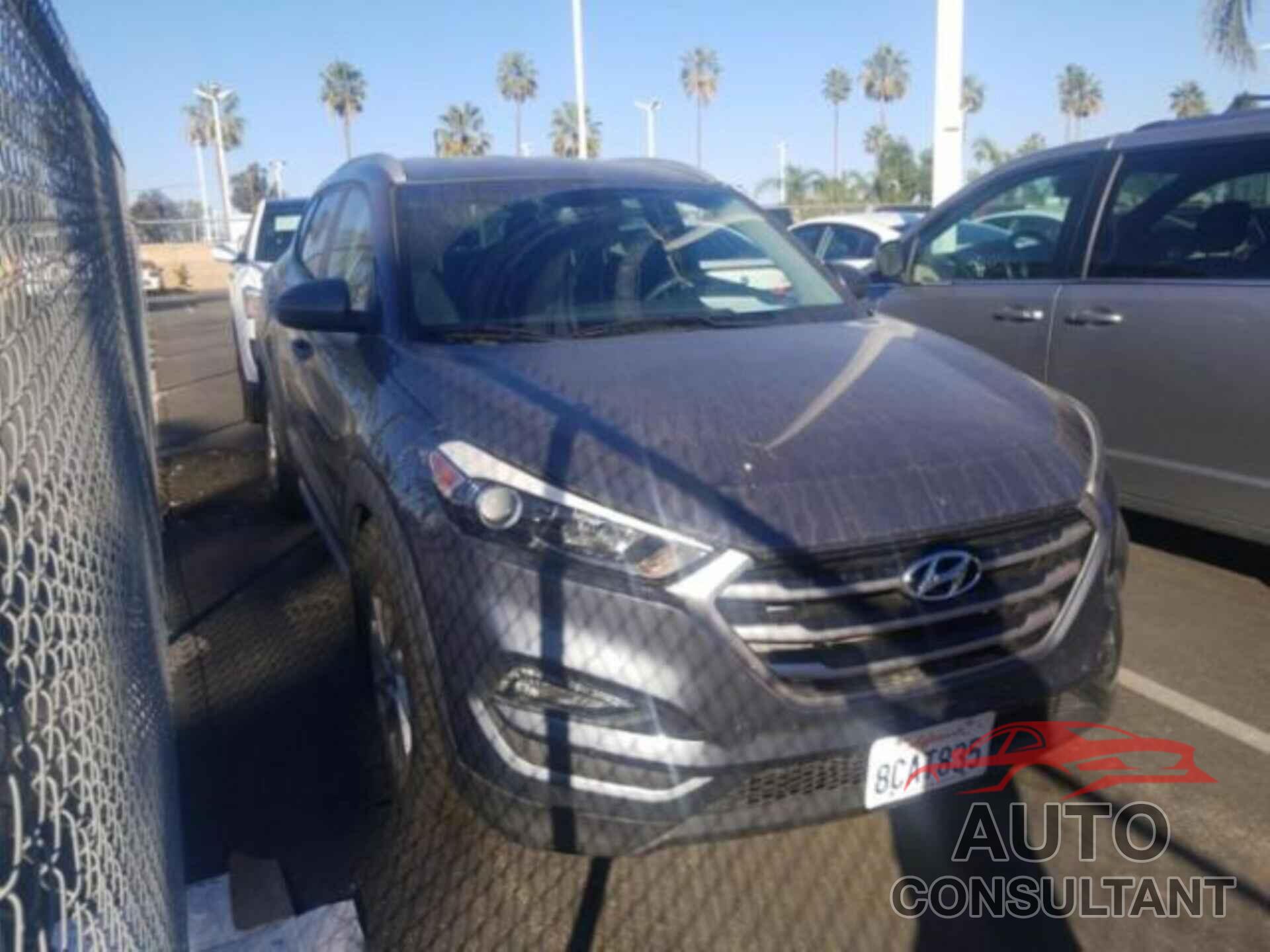 HYUNDAI TUCSON 2017 - KM8J33A40HU421313