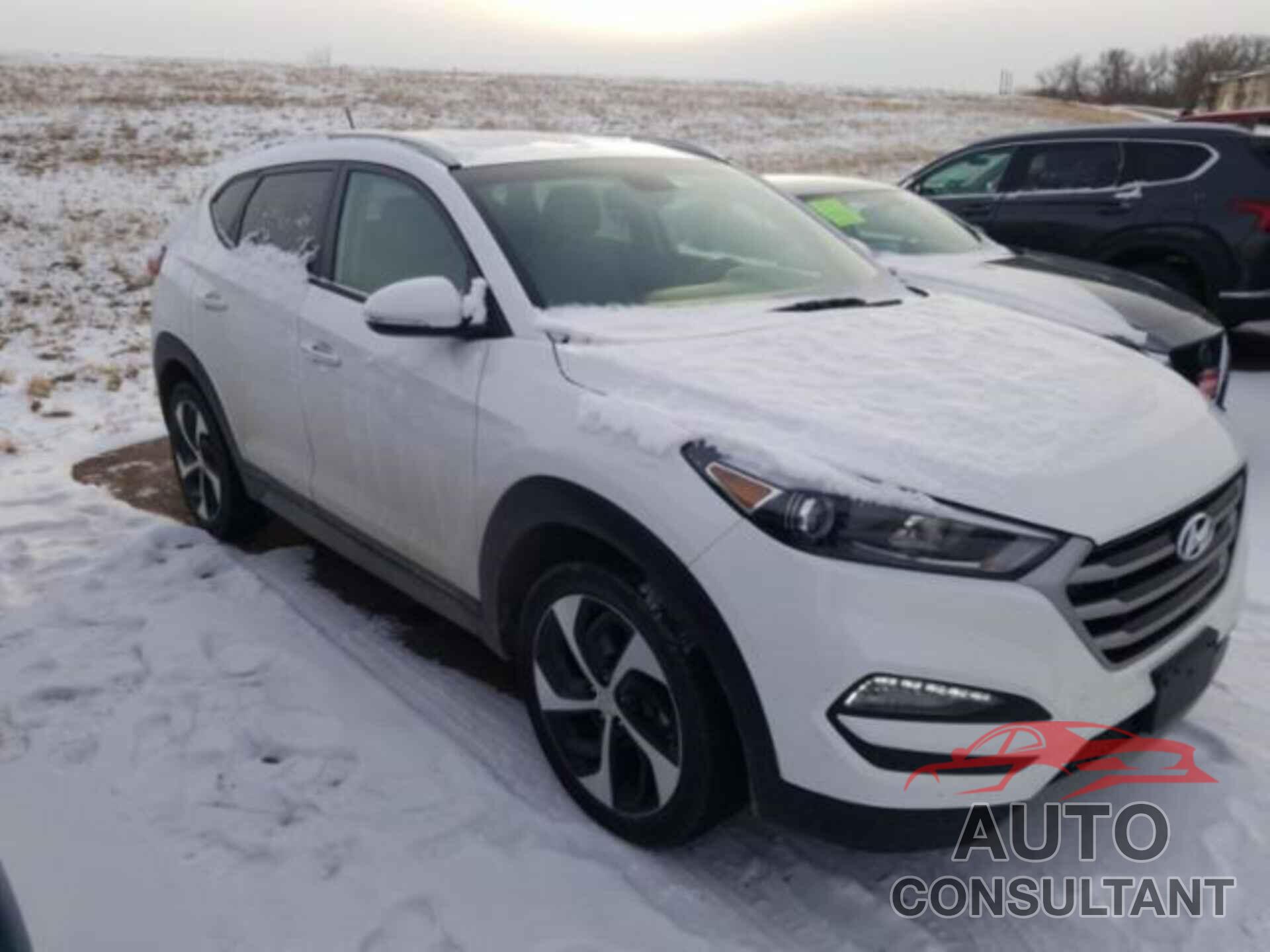 HYUNDAI TUCSON 2017 - KM8J3CA21HU545377