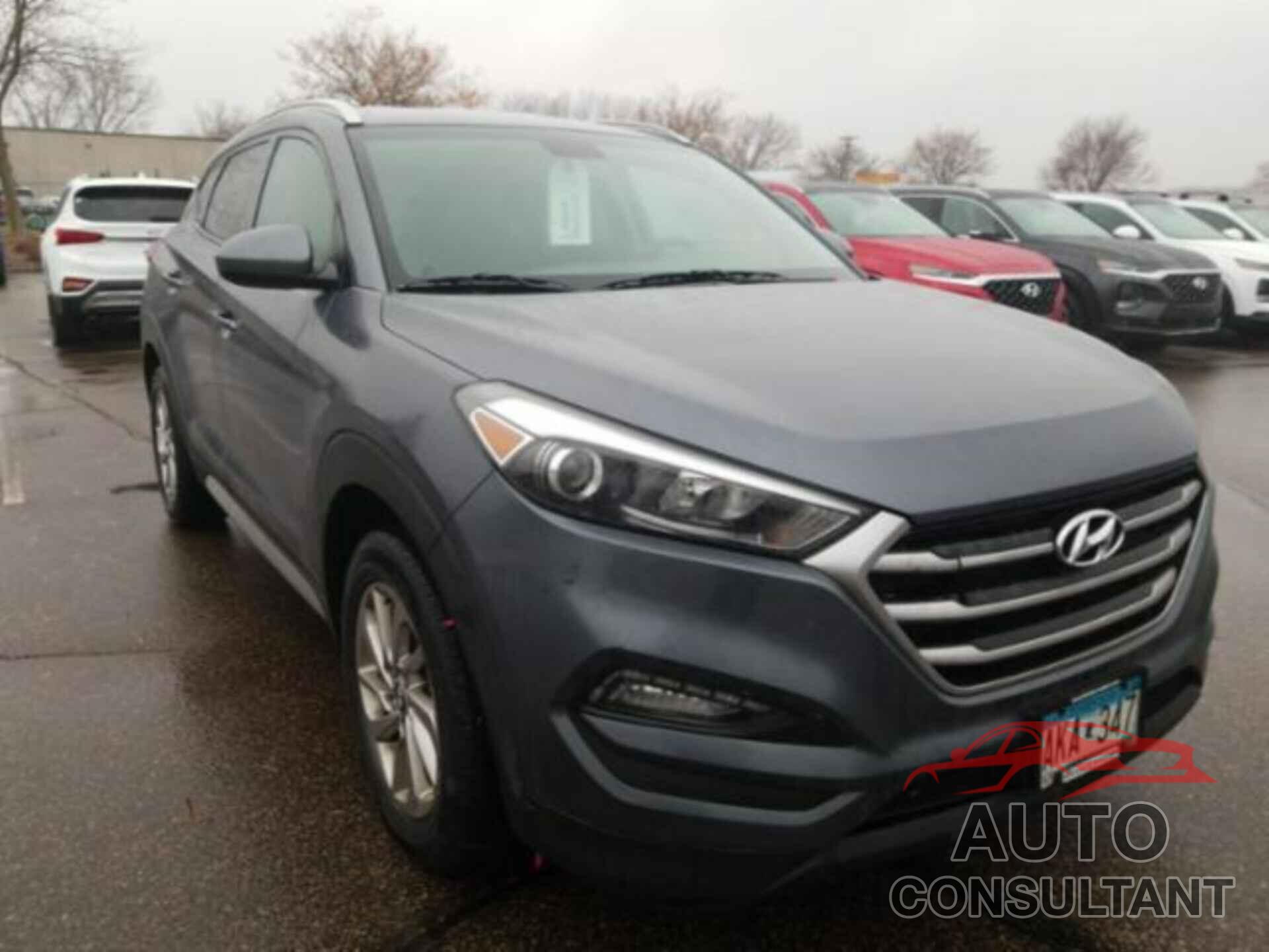HYUNDAI TUCSON 2017 - KM8J3CA41HU418226