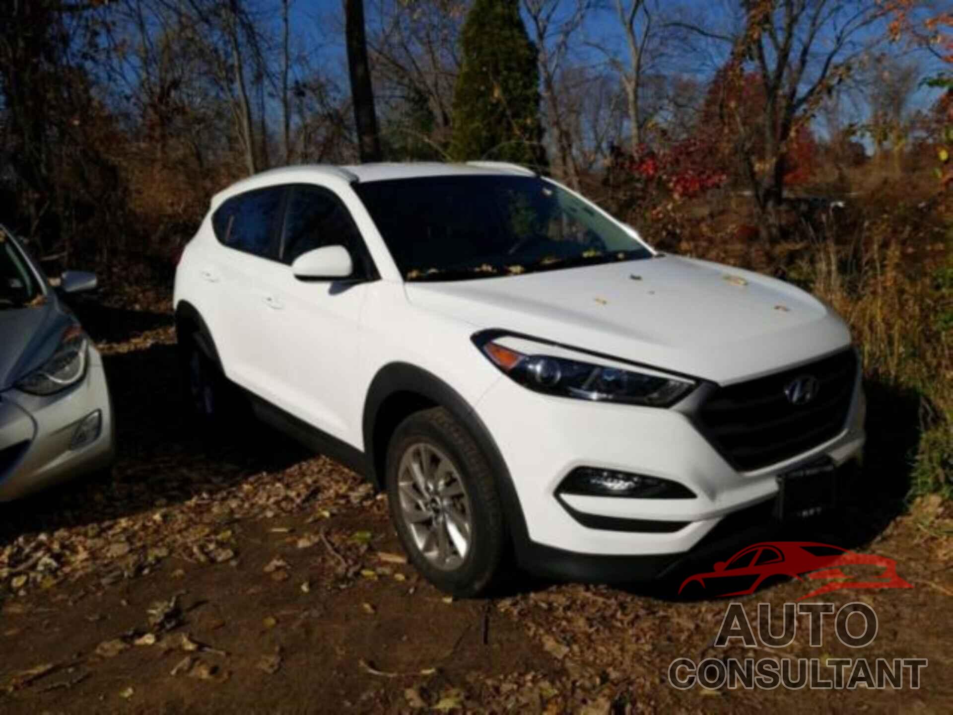 HYUNDAI TUCSON 2016 - KM8J3CA41GU162961