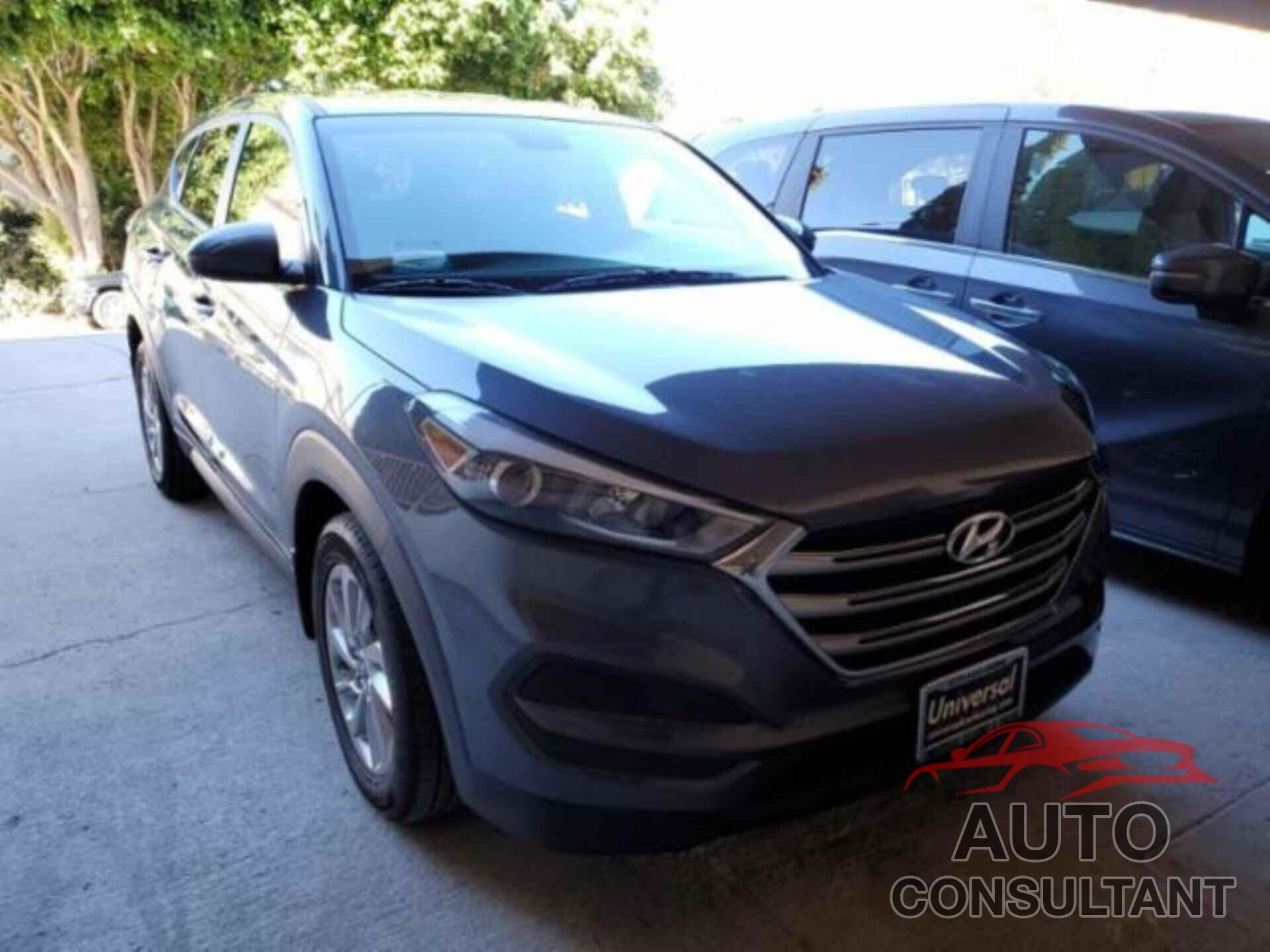 HYUNDAI TUCSON 2017 - KM8J23A43HU579793
