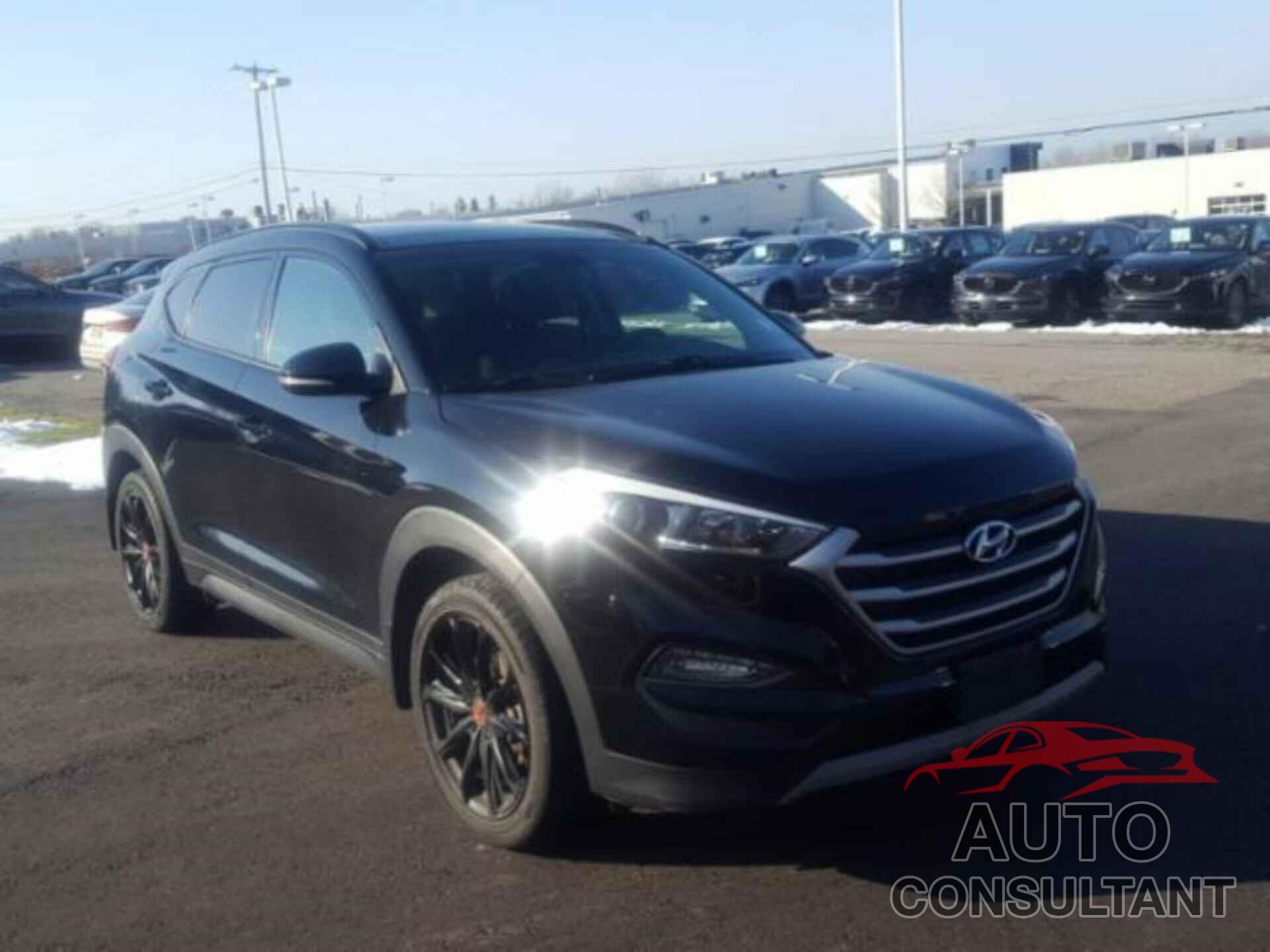 HYUNDAI TUCSON 2017 - KM8J3CA24HU534230