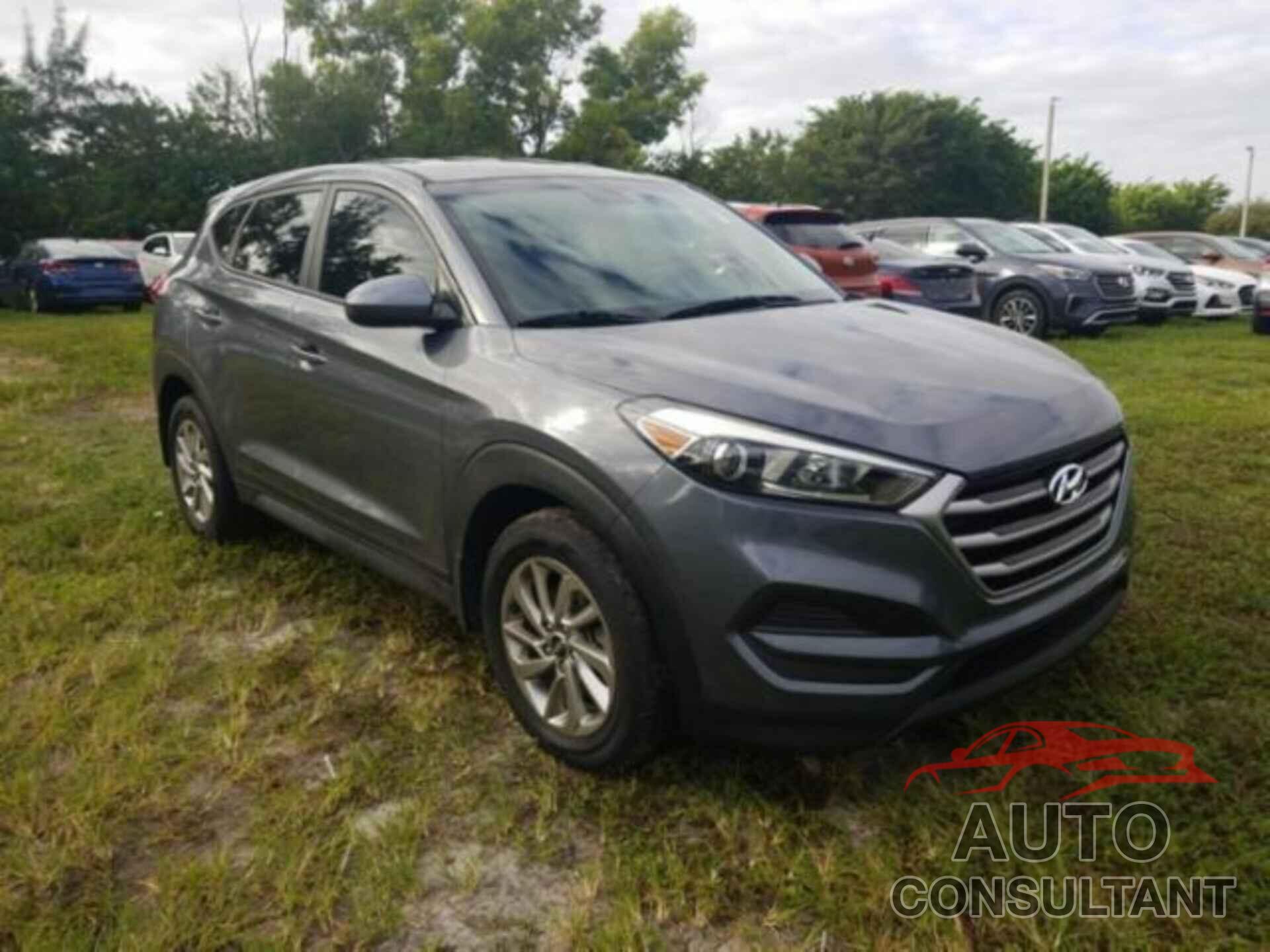 HYUNDAI TUCSON 2017 - KM8J23A46HU334079