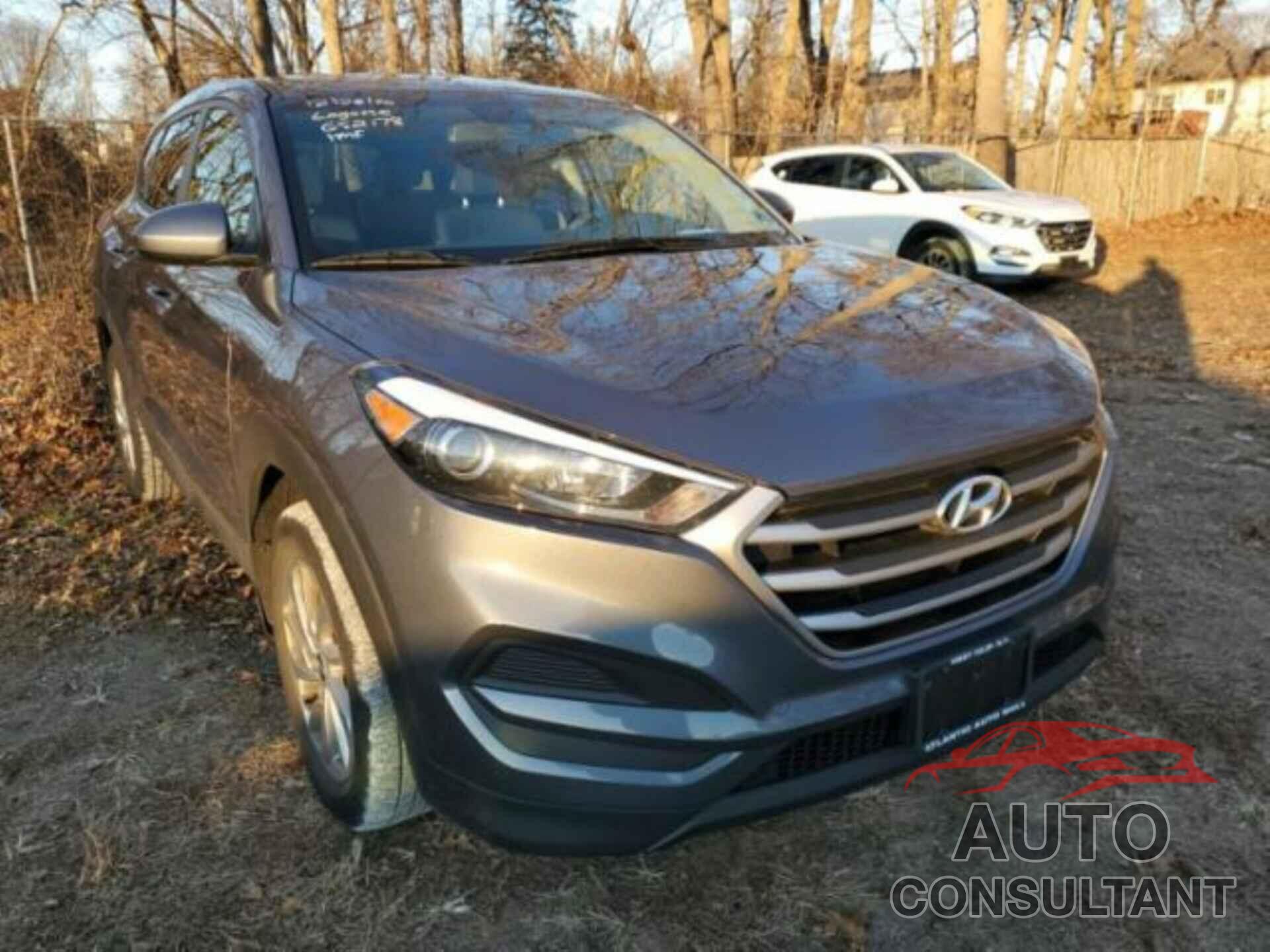 HYUNDAI TUCSON 2018 - KM8J2CA41JU652178