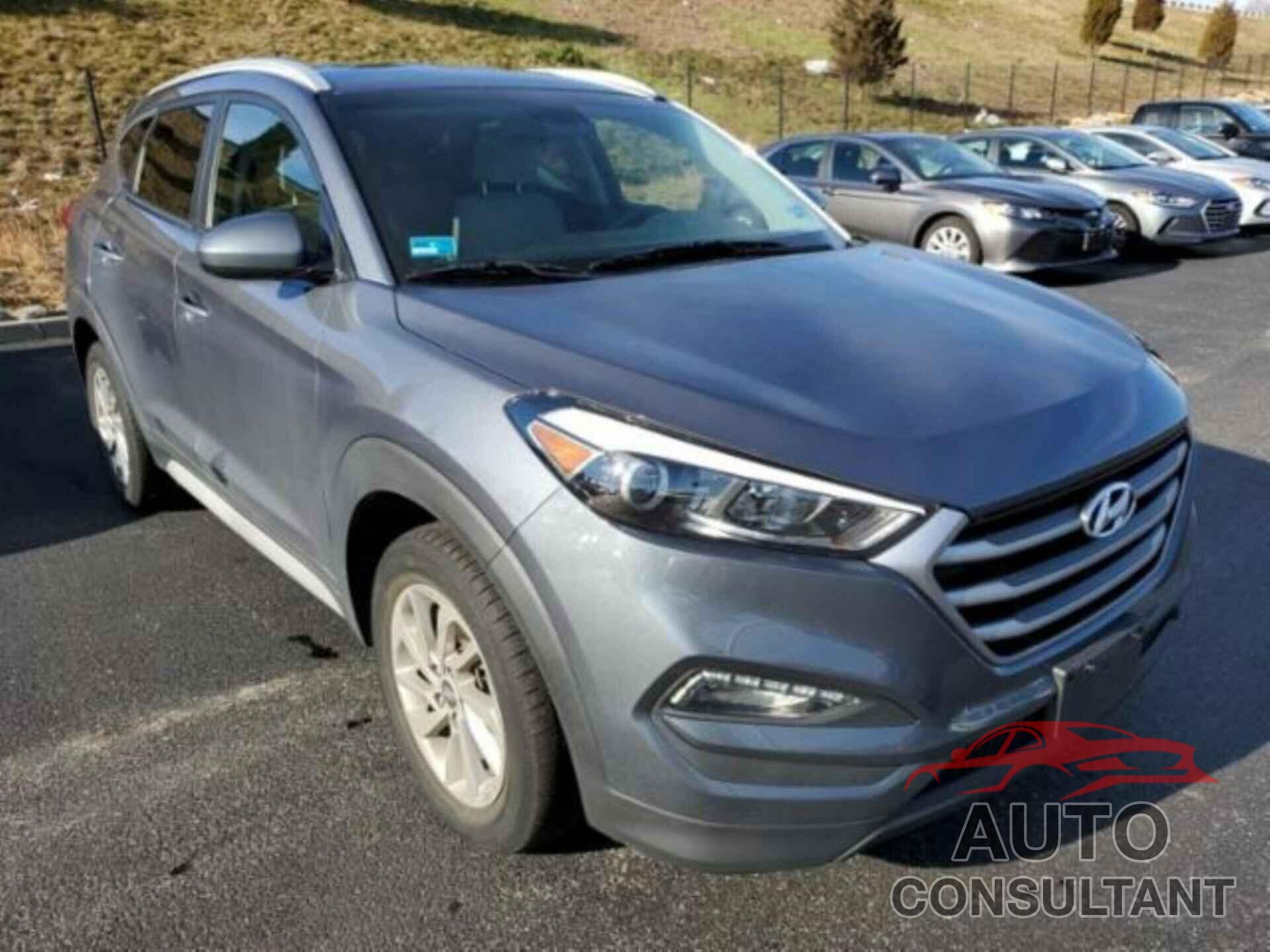 HYUNDAI TUCSON 2017 - KM8J3CA41HU587758