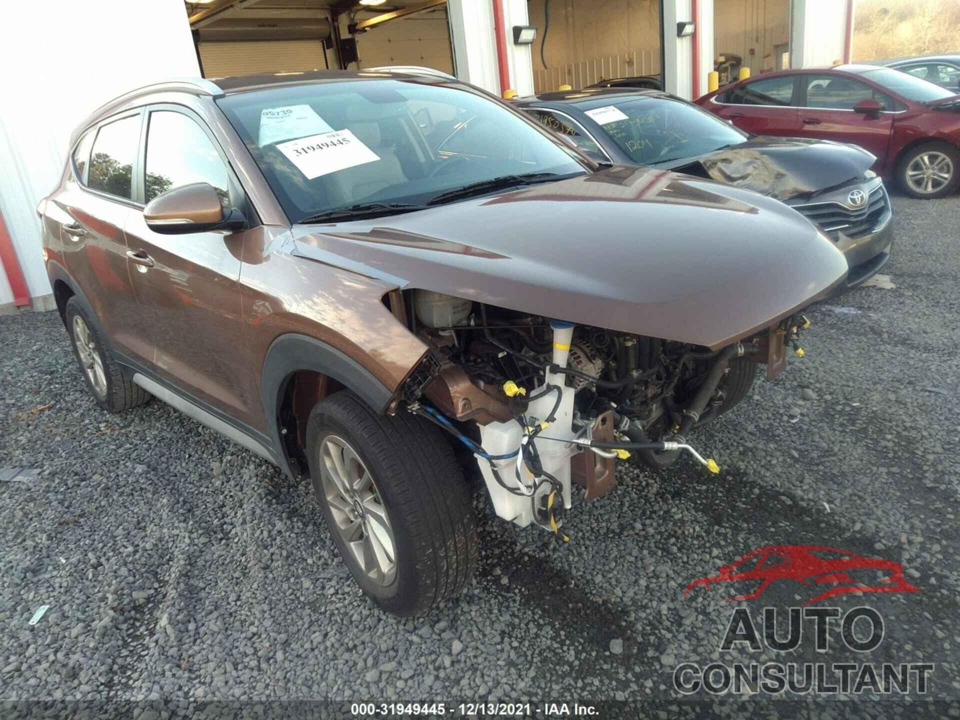 HYUNDAI TUCSON 2017 - KM8J33A42HU512079