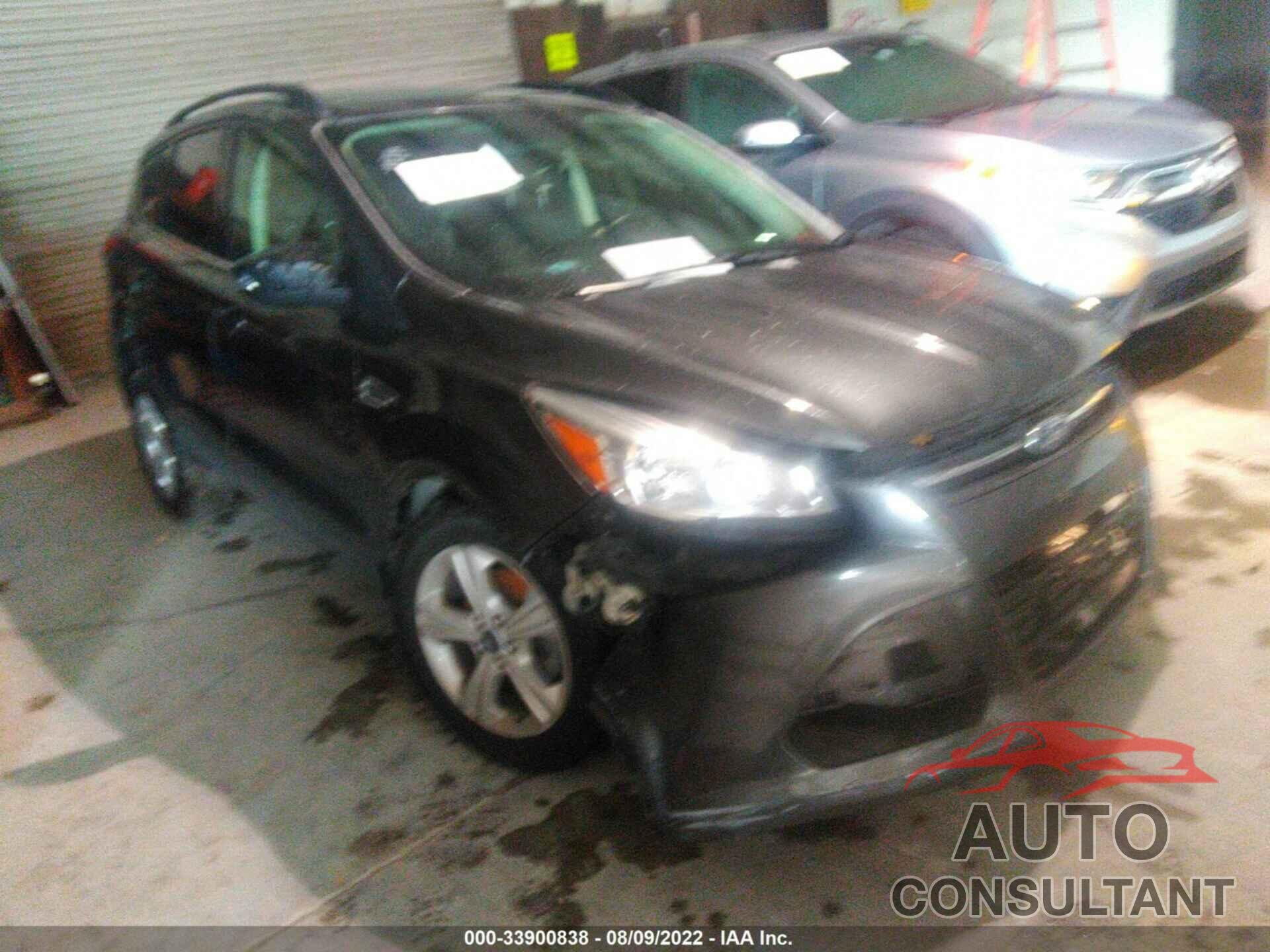 FORD ESCAPE 2016 - 1FMCU0GXXGUC09023