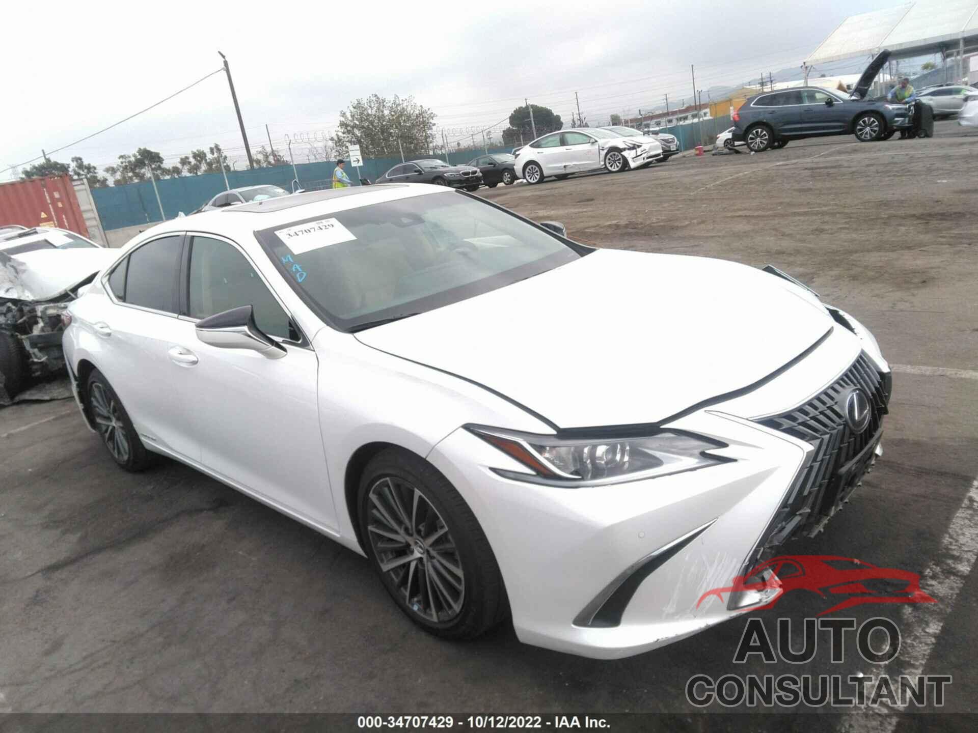 LEXUS ES 2022 - 58ADA1C13NU020482