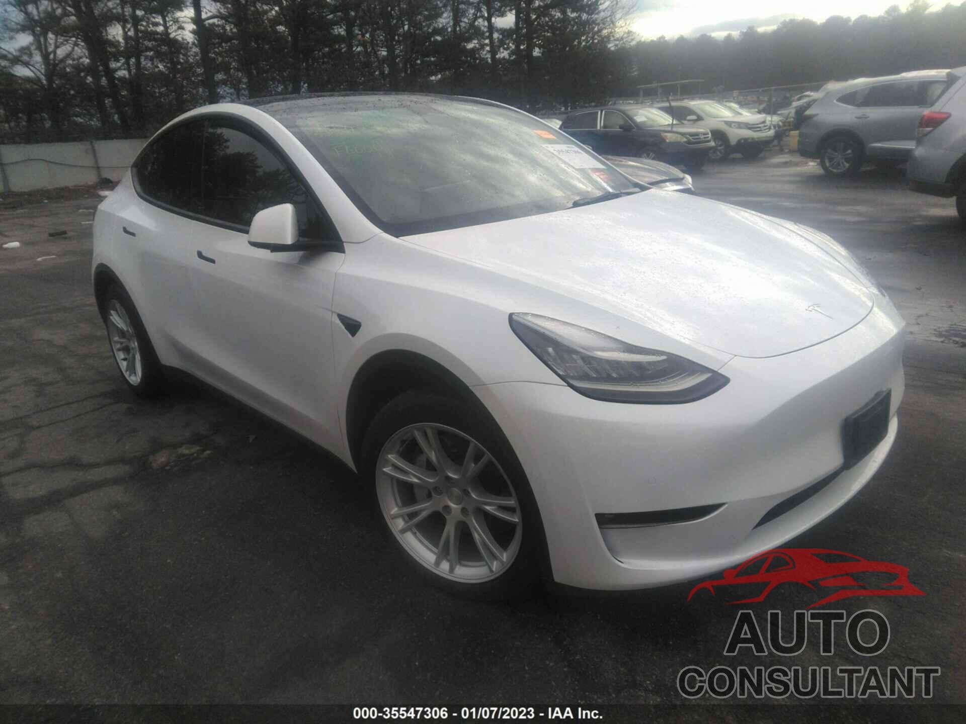 TESLA MODEL Y 2021 - 5YJYGDEE7MF178859