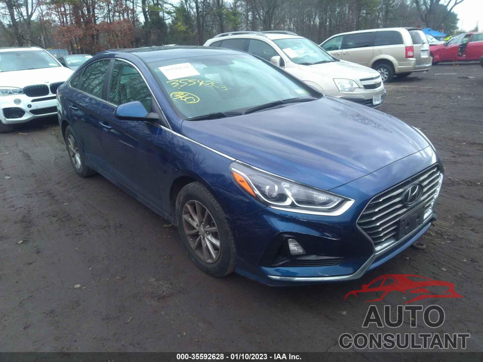 HYUNDAI SONATA 2019 - 5NPE24AF4KH743888