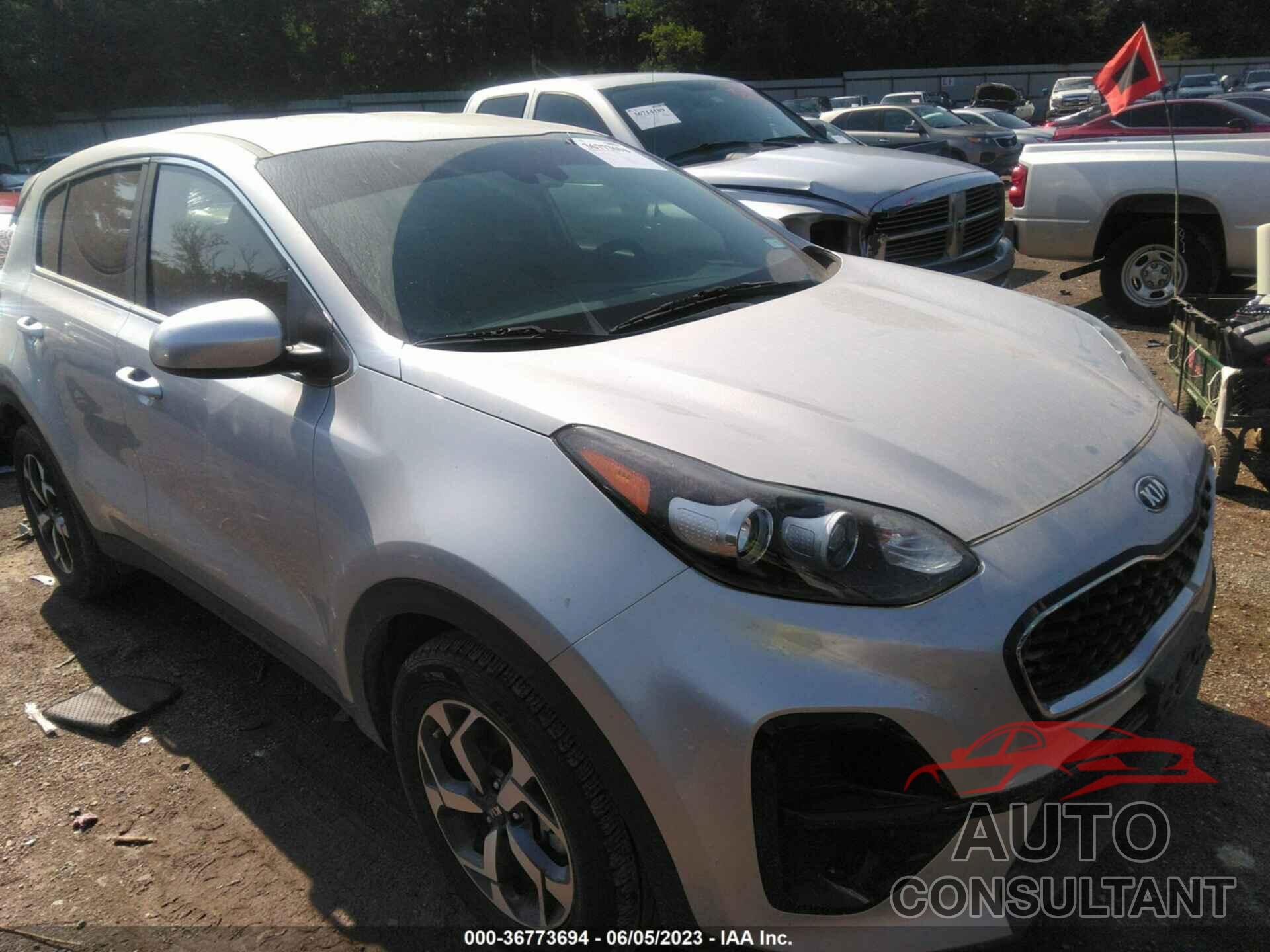 KIA SPORTAGE 2022 - KNDPM3AC1N7983895