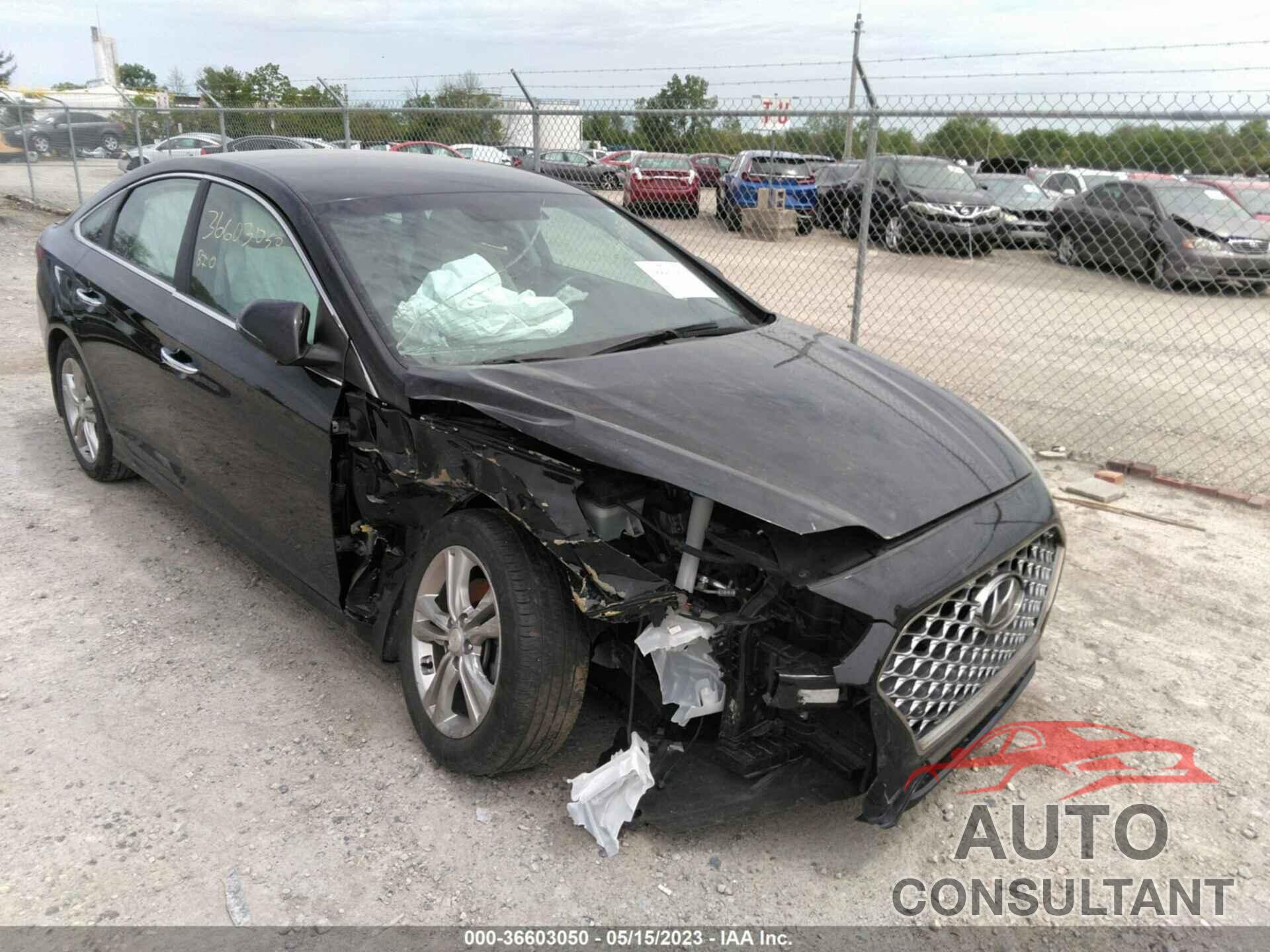 HYUNDAI SONATA 2019 - 5NPE34AF7KH792676