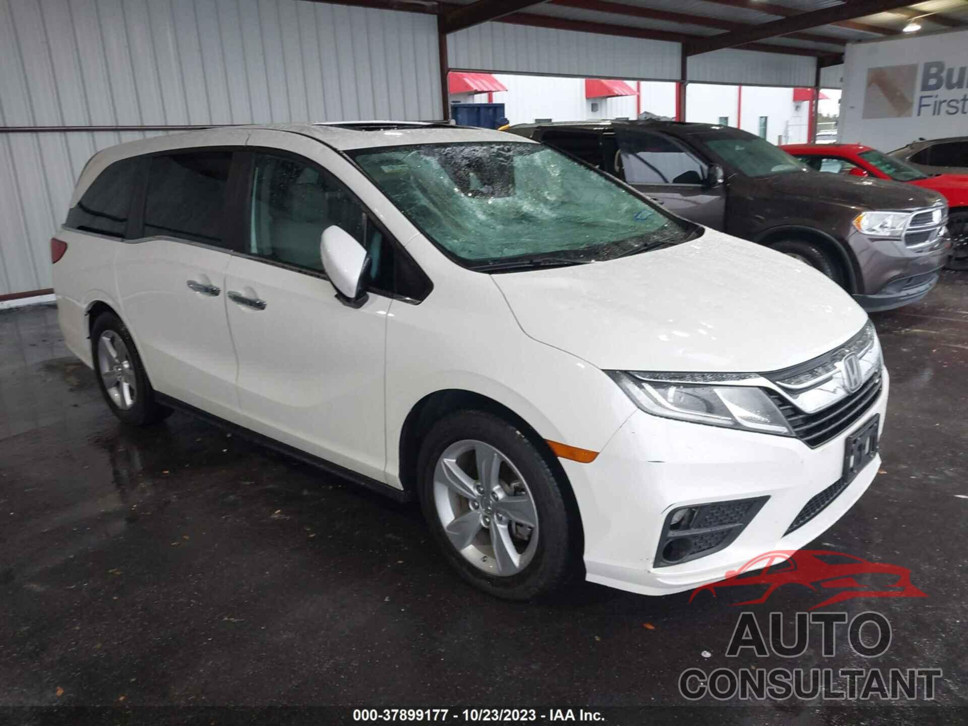 HONDA ODYSSEY 2019 - 5FNRL6H72KB020905