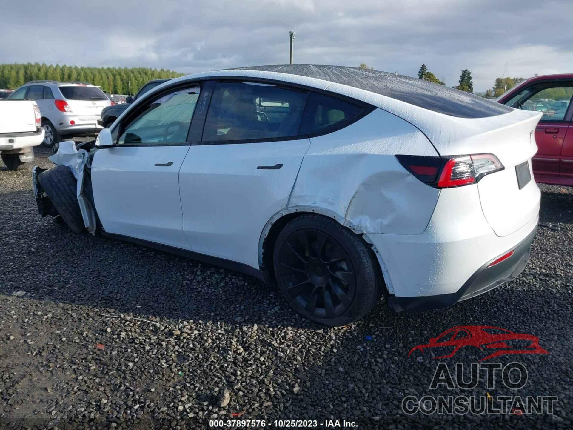 TESLA MODEL Y 2021 - 5YJYGAEE9MF157445