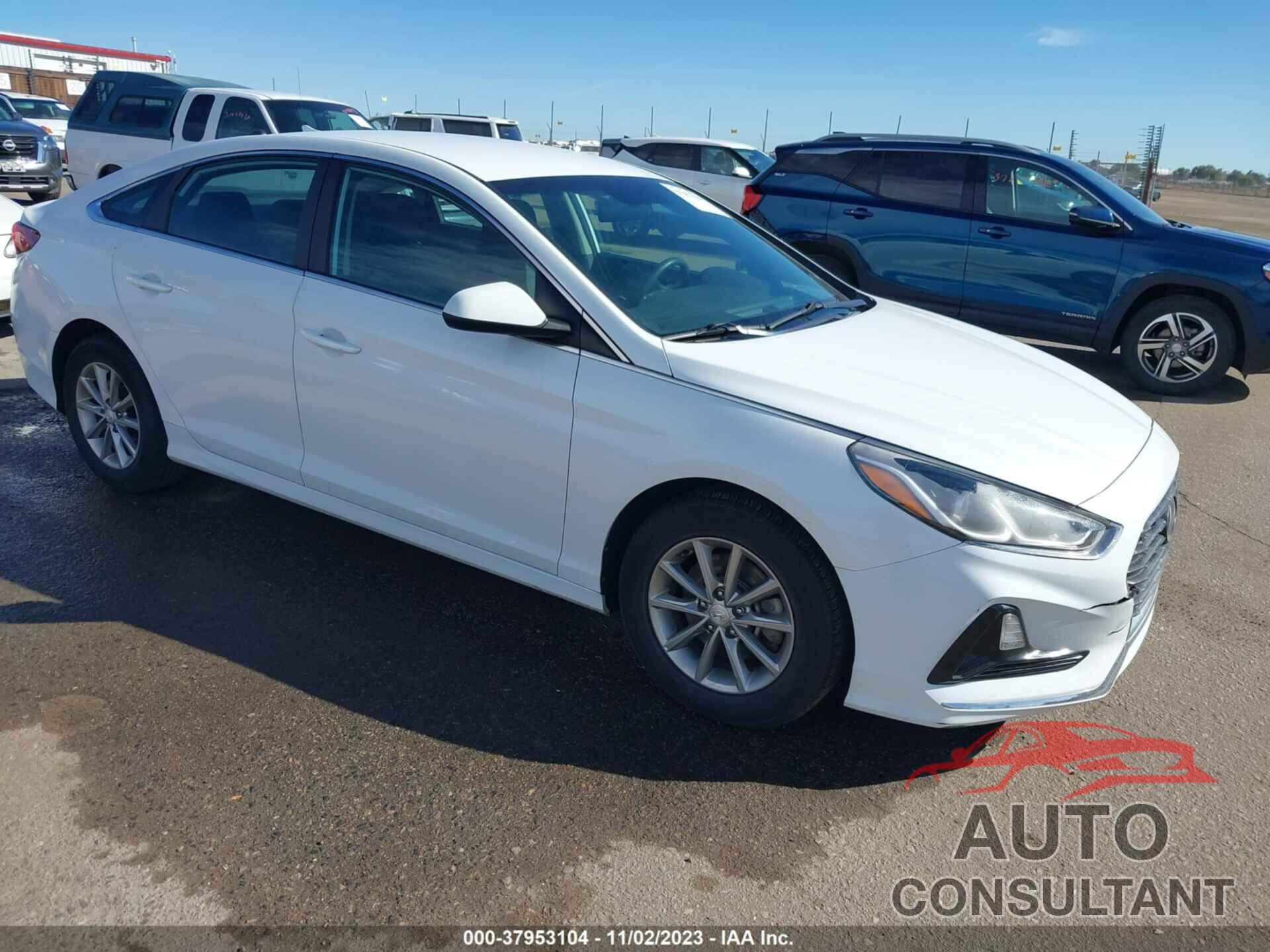 HYUNDAI SONATA 2019 - 5NPE24AF2KH801335