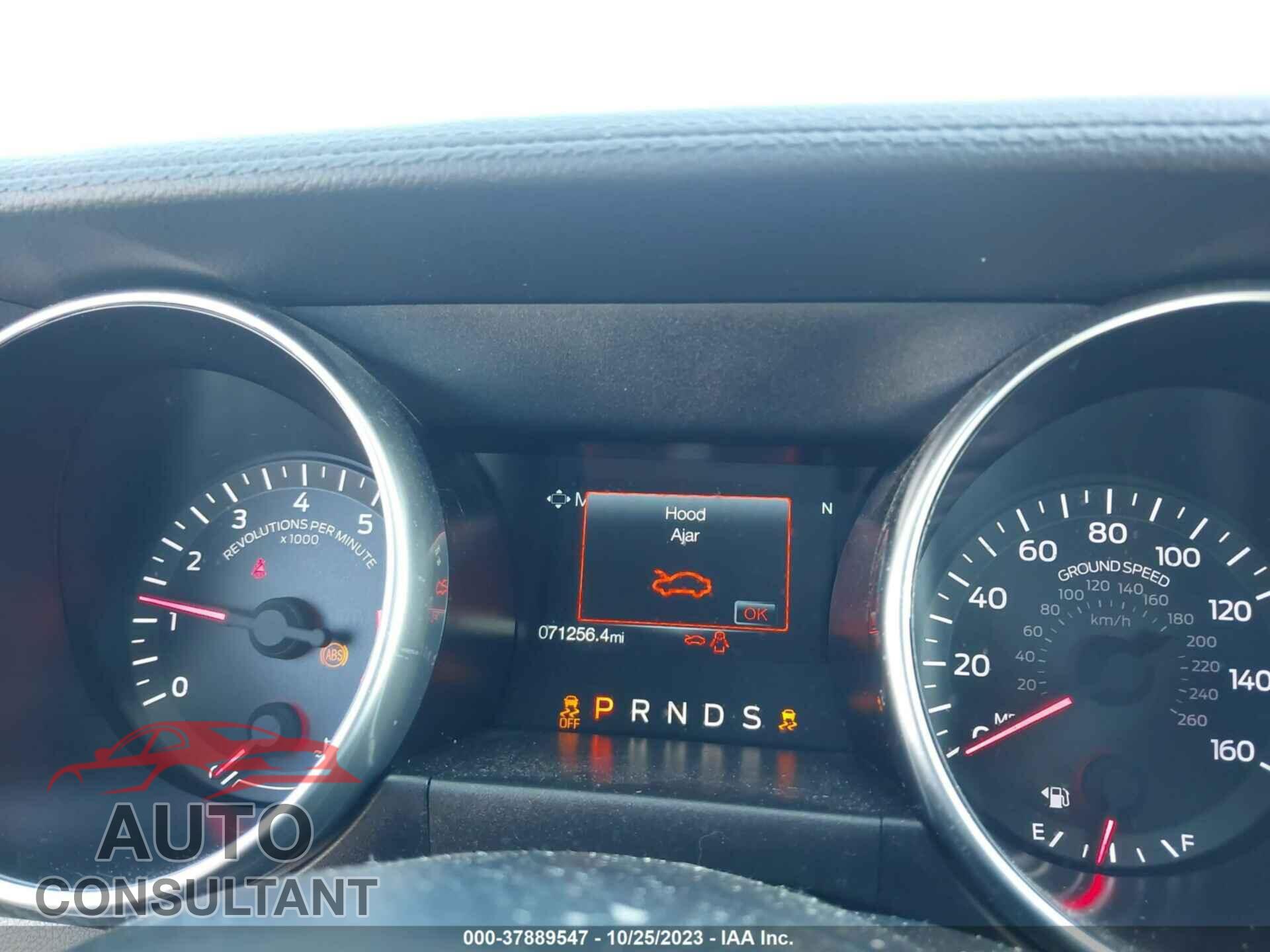 FORD MUSTANG 2019 - 1FA6P8TH1K5111531