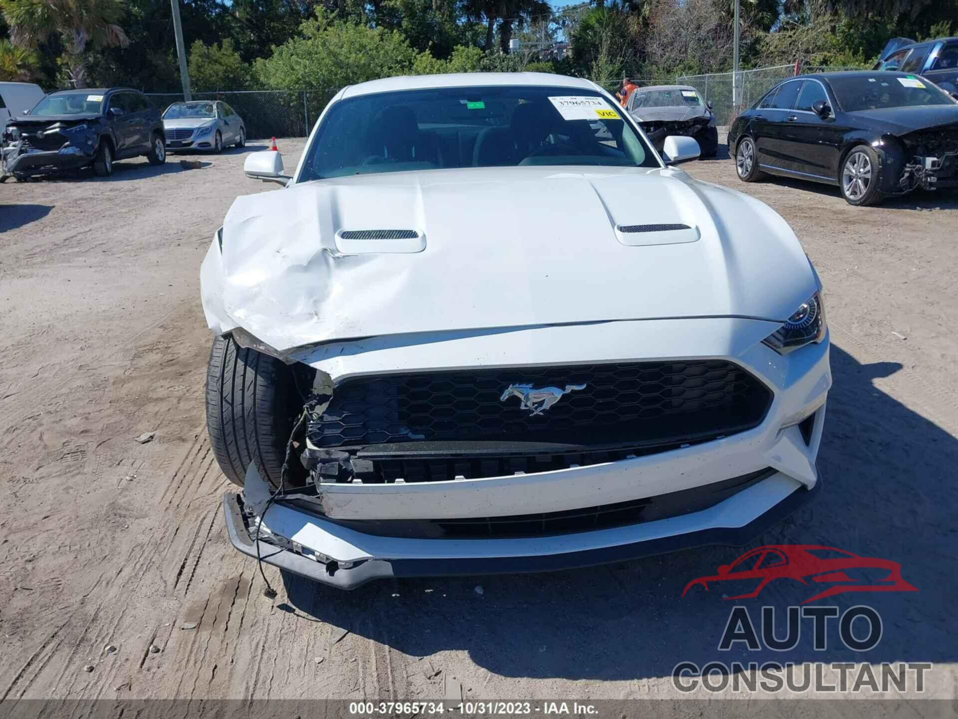 FORD MUSTANG 2019 - 1FA6P8TH6K5124579