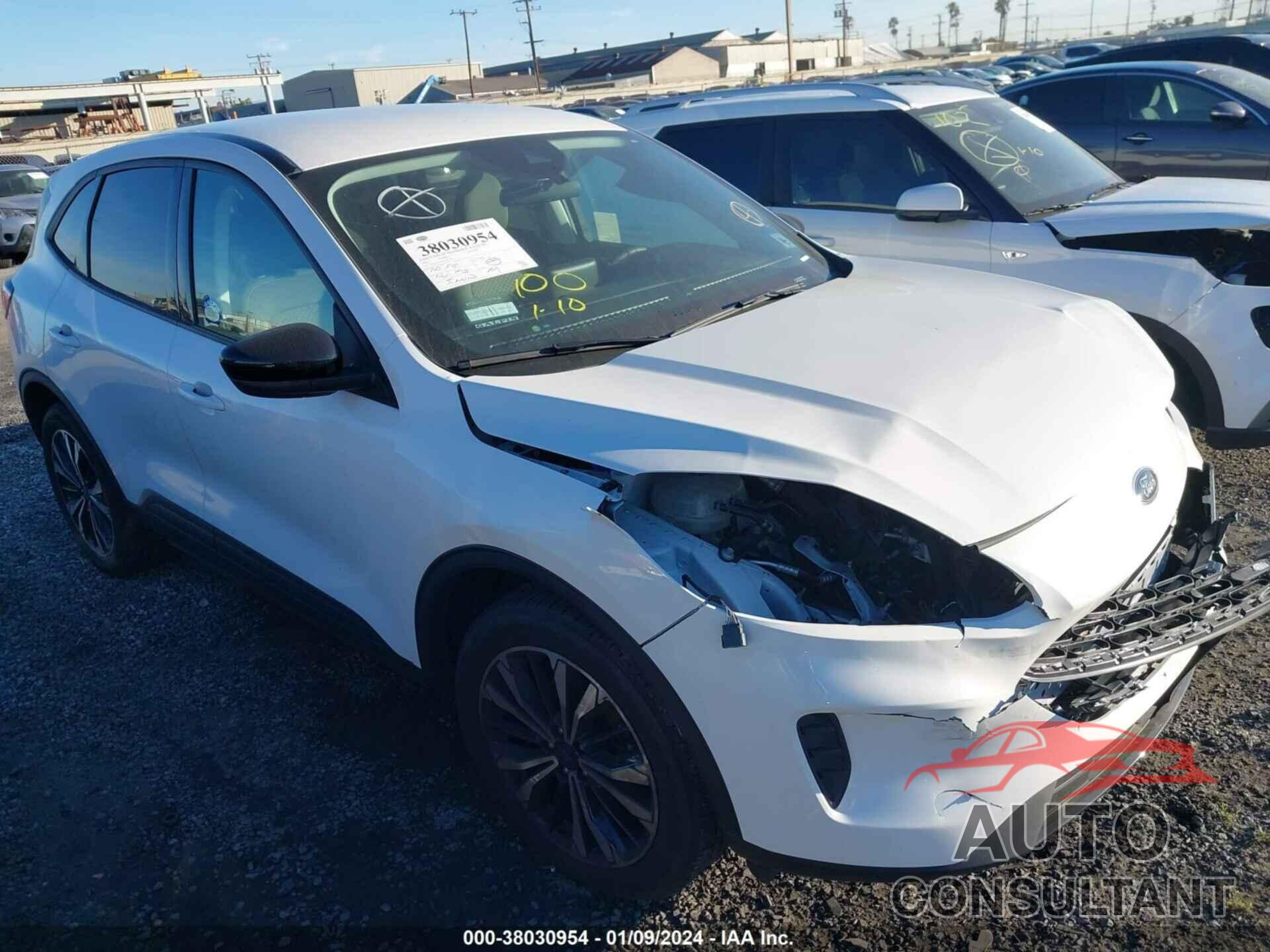 FORD ESCAPE 2022 - 1FMCU0G62NUB51963