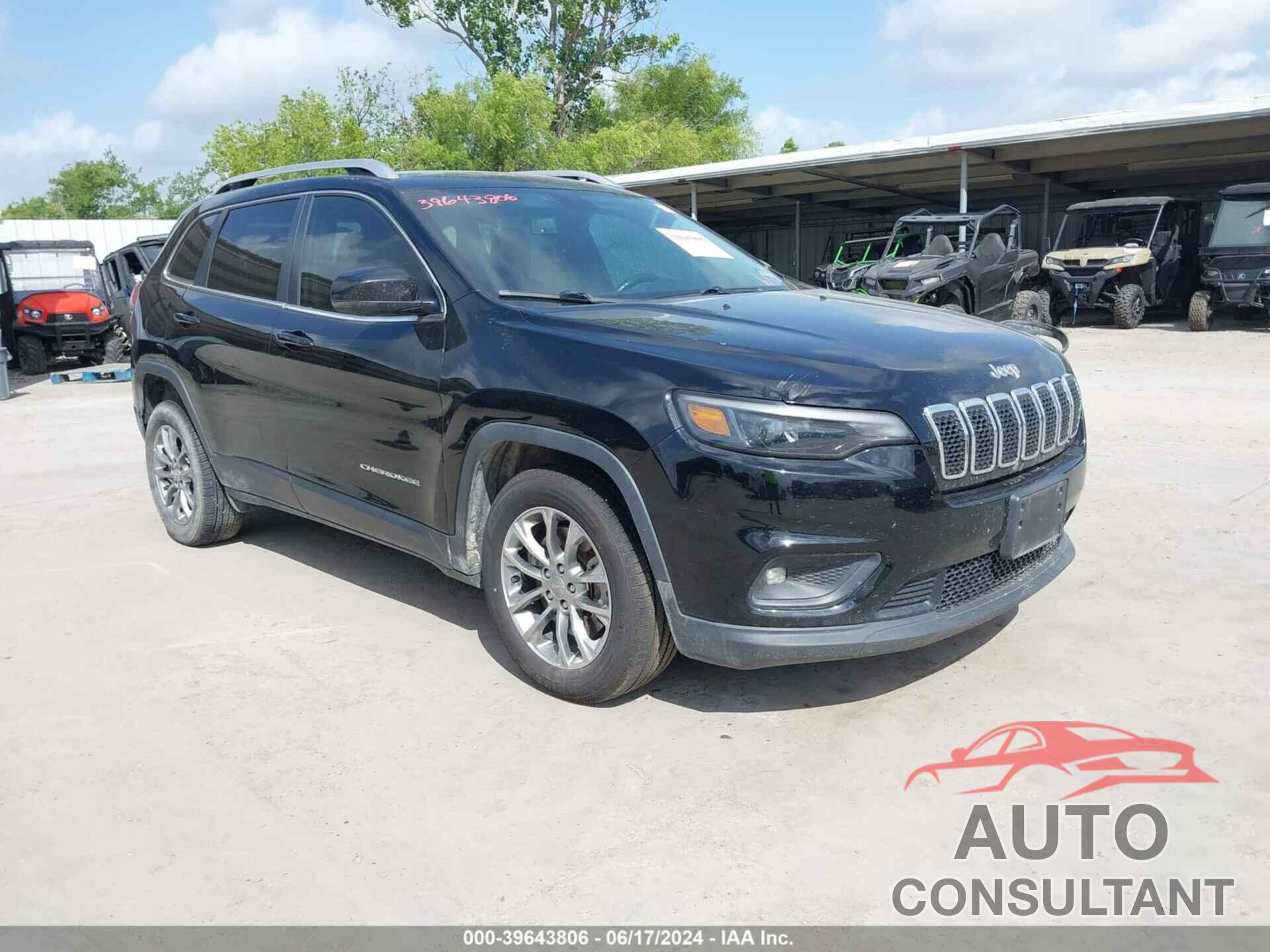 JEEP CHEROKEE 2019 - 1C4PJLLB2KD110196