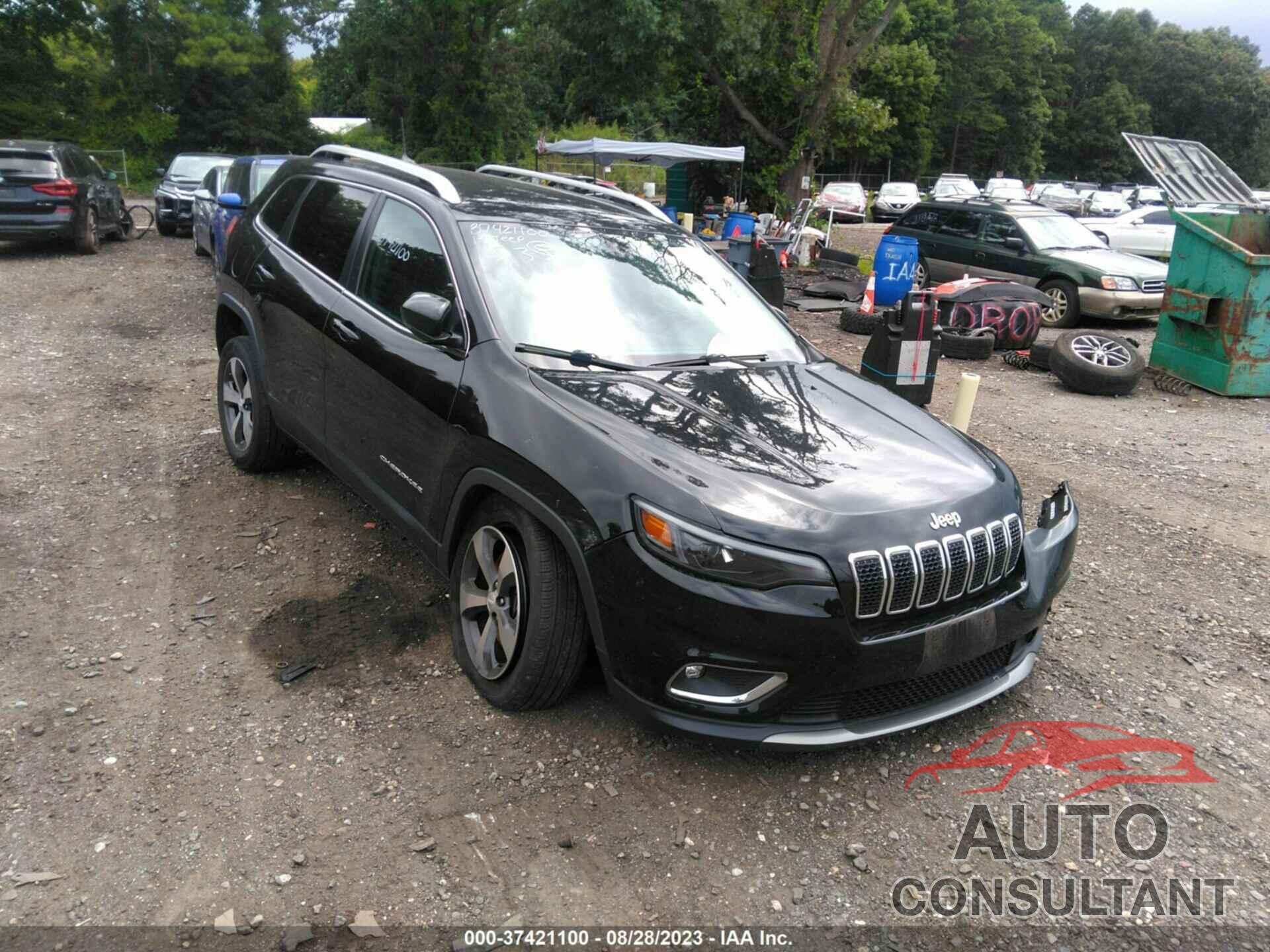 JEEP CHEROKEE 2019 - 1C4PJMDN3KD162368