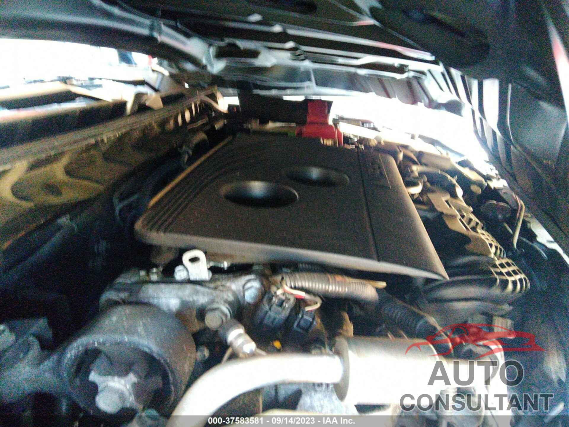 NISSAN ALTIMA 2019 - 1N4BL4CW9KN317326