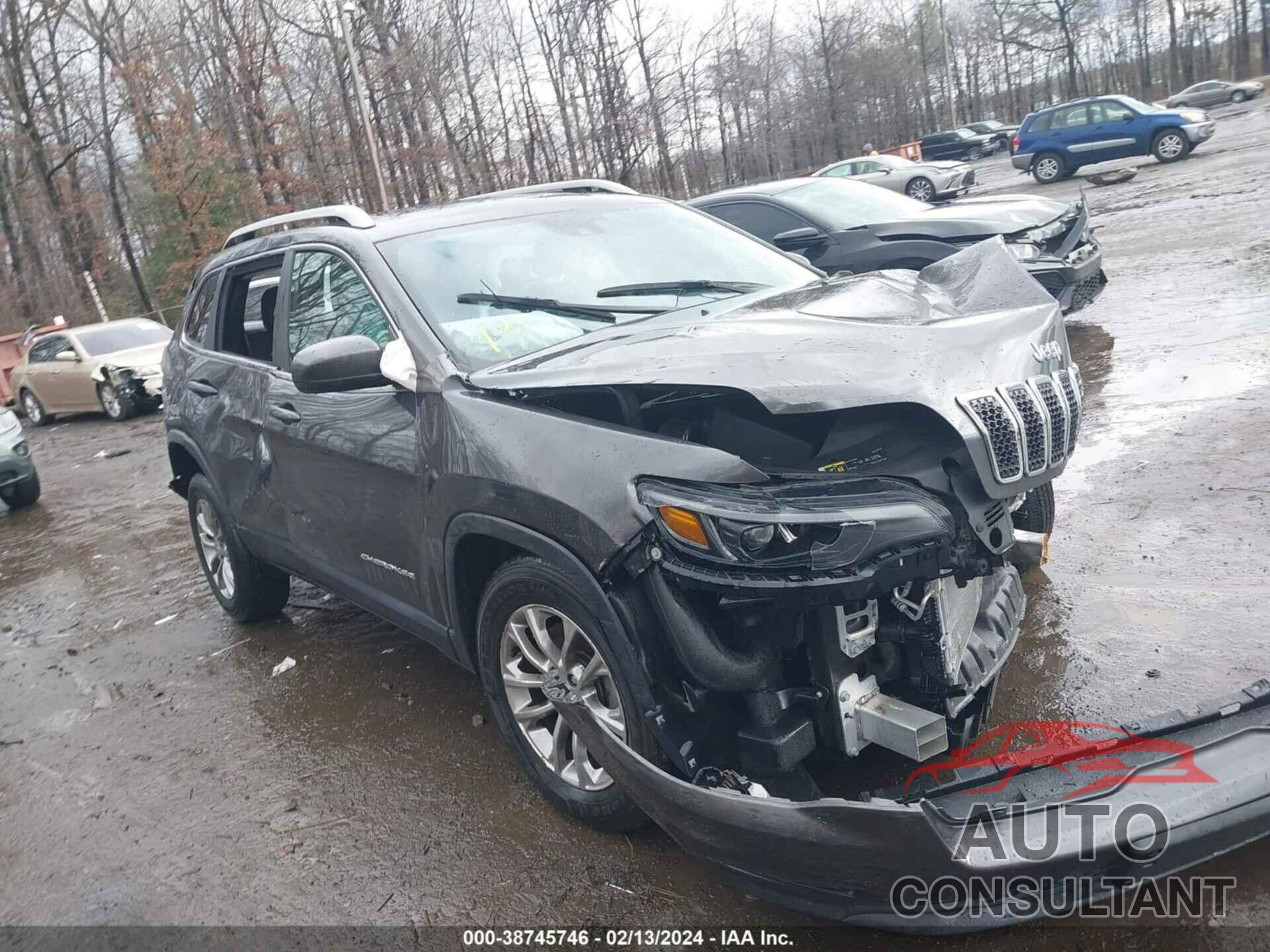 JEEP CHEROKEE 2020 - 1C4PJMLX3LD633701