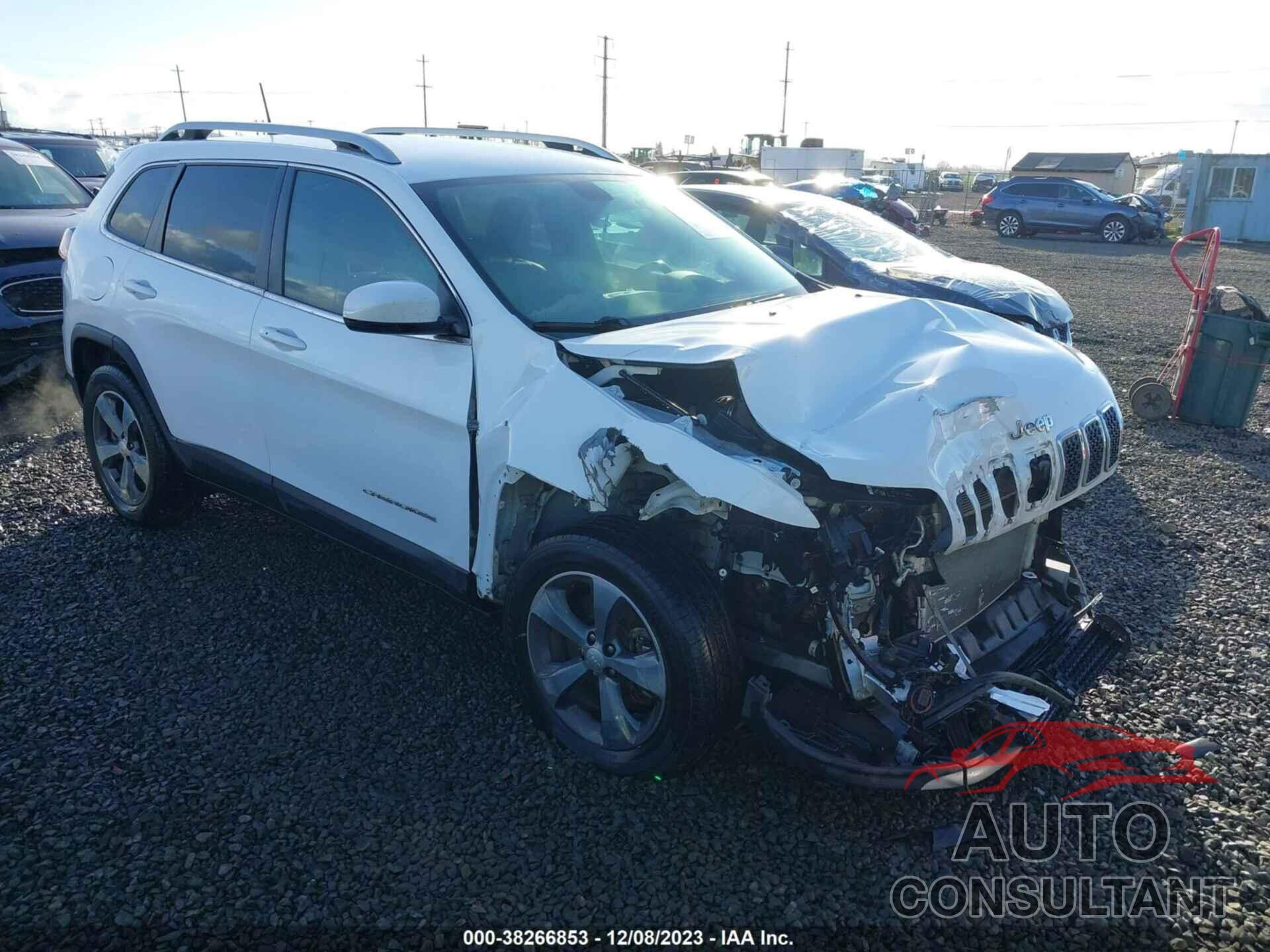 JEEP CHEROKEE 2019 - 1C4PJMDX1KD408108