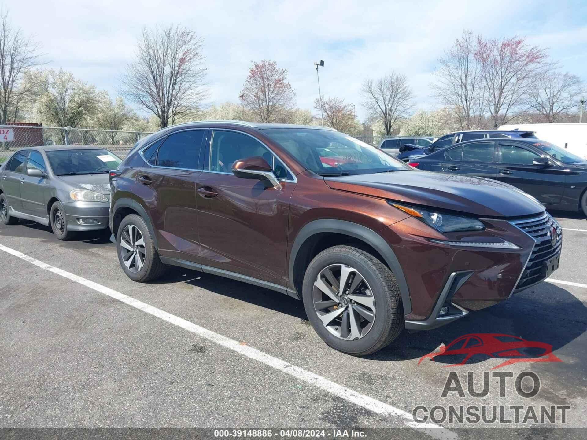 LEXUS NX 300 2019 - JTJBARBZ3K2187082