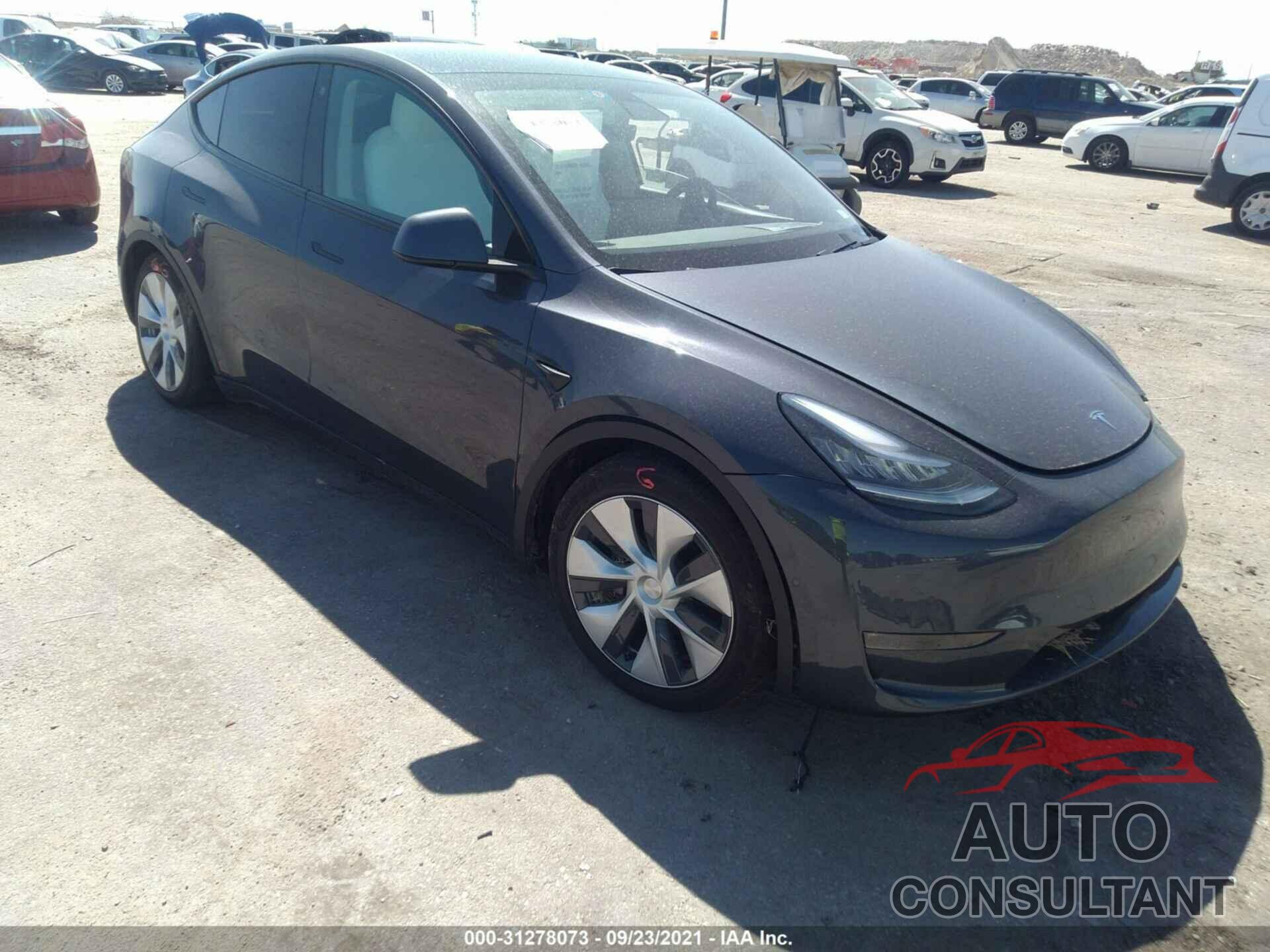 TESLA MODEL Y 2021 - 5YJYGDEE0MF064749