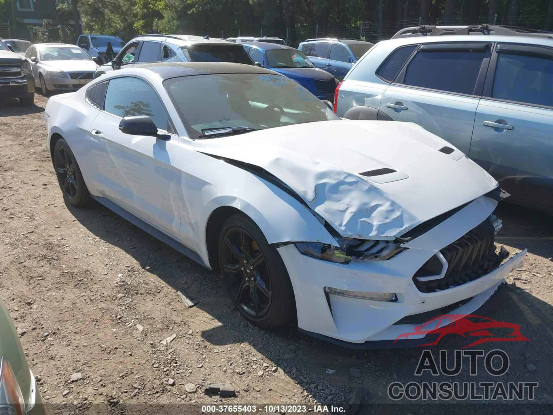 FORD MUSTANG 2019 - 1FA6P8TH1K5201293