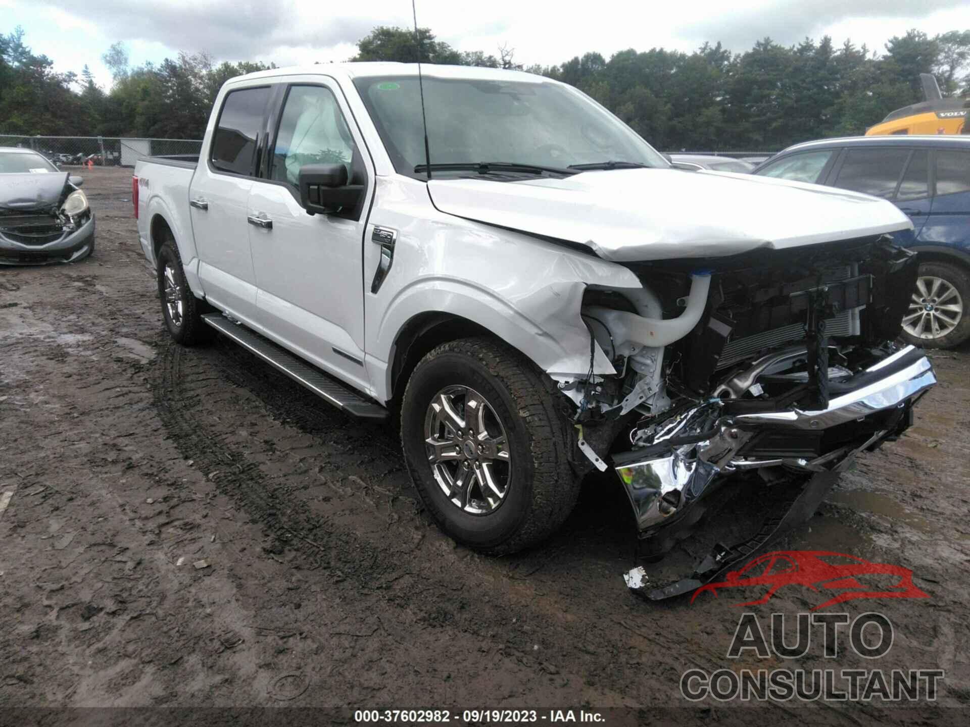 FORD F-150 2023 - 1FTFW1ED7PFC25999