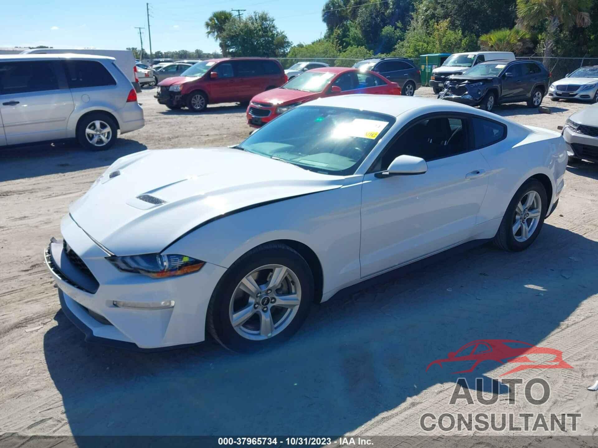FORD MUSTANG 2019 - 1FA6P8TH6K5124579