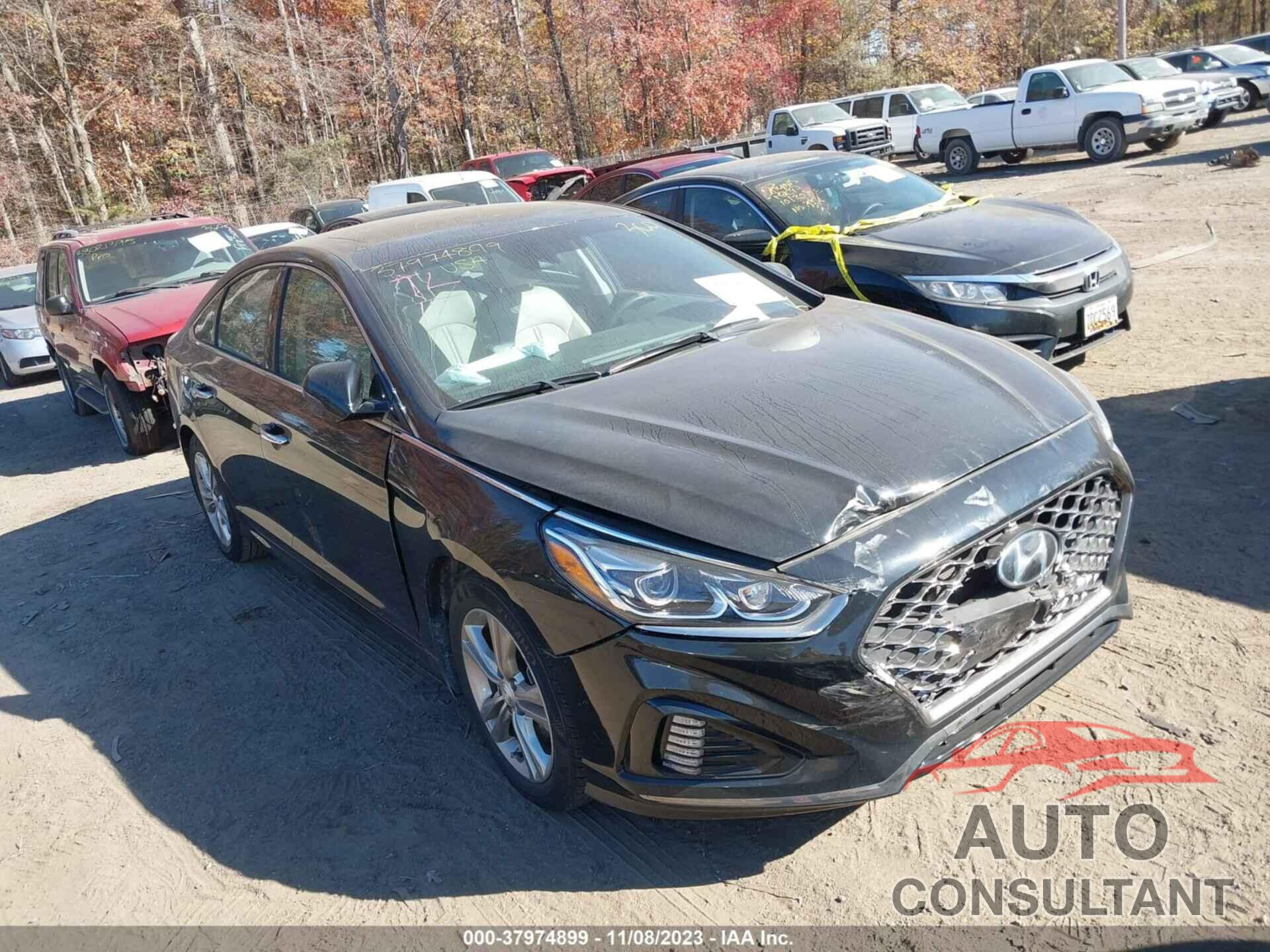 HYUNDAI SONATA 2019 - 5NPE34AF4KH795261
