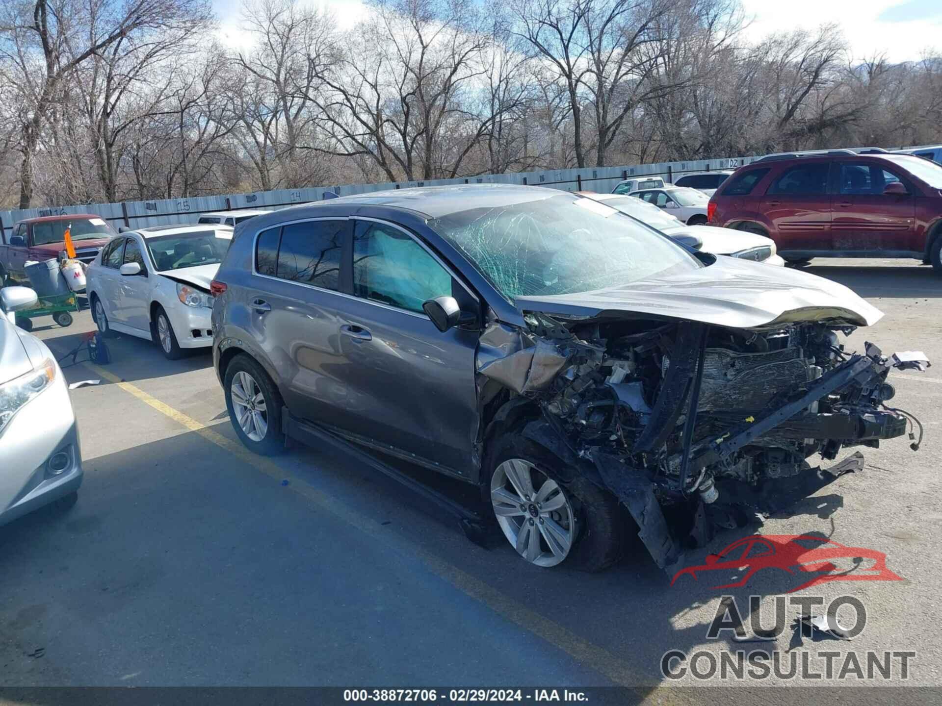 KIA SPORTAGE 2017 - KNDPMCAC7H7219067