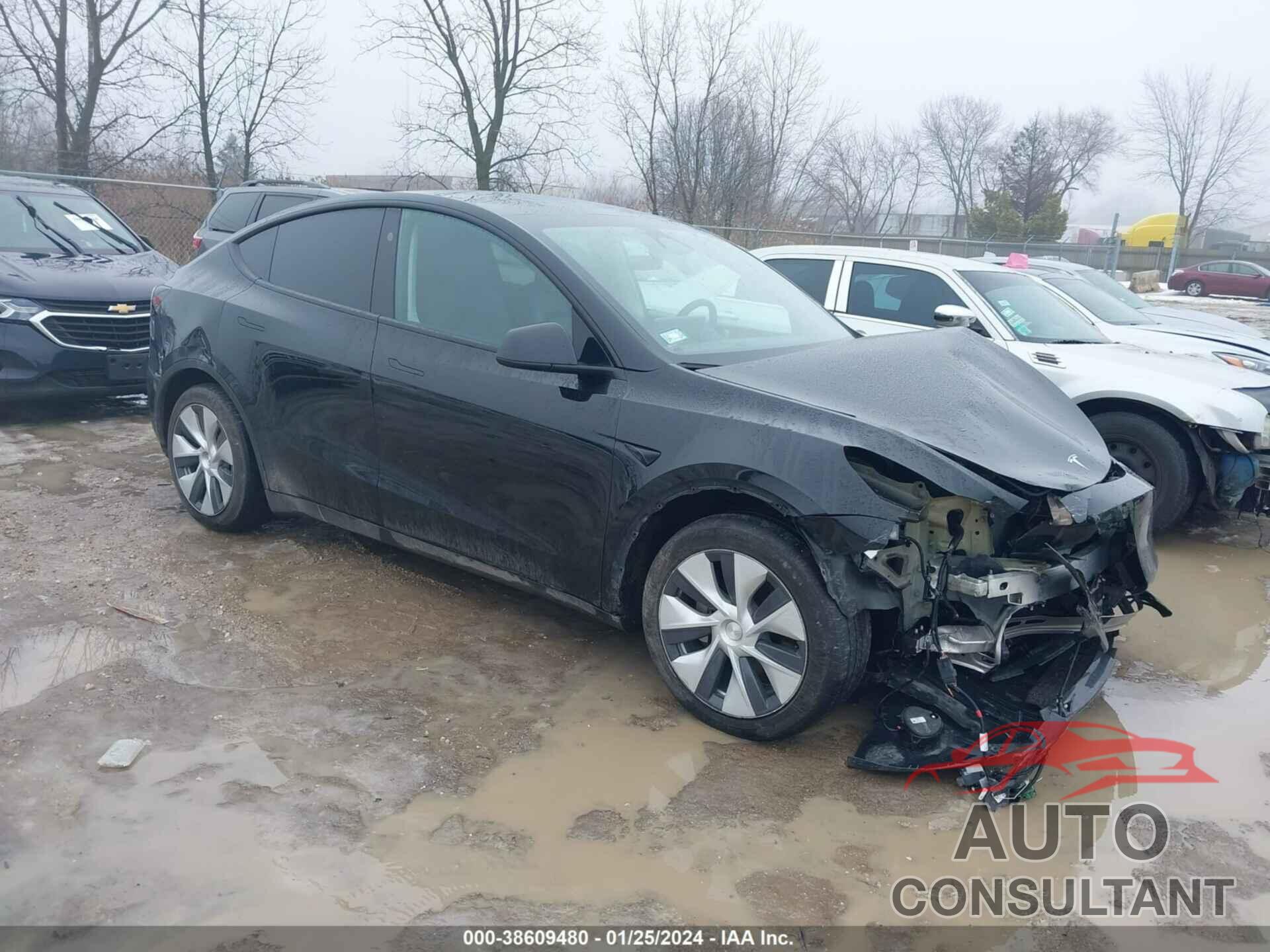 TESLA MODEL Y 2023 - 7SAYGDEE8PF808444