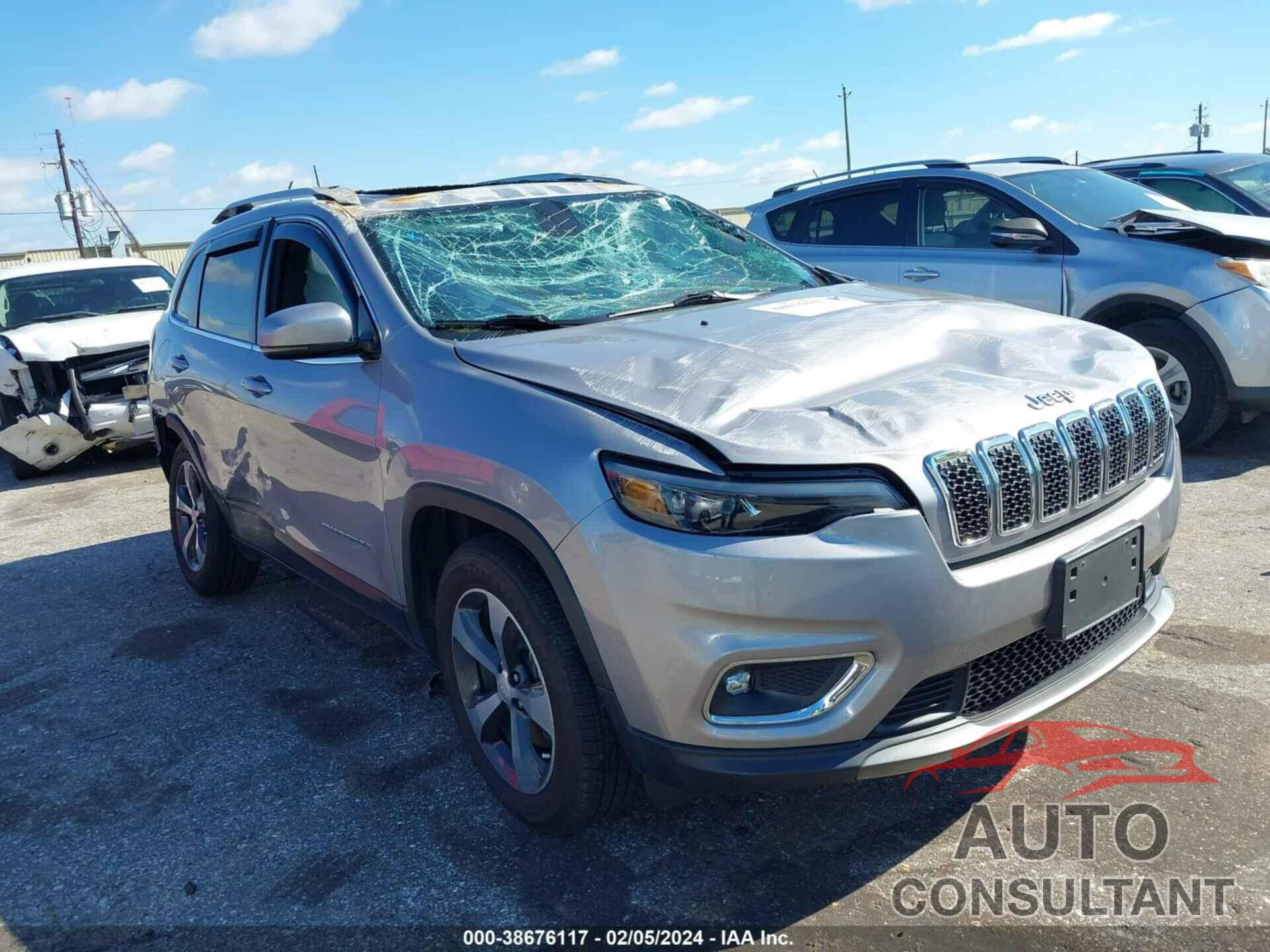 JEEP CHEROKEE 2019 - 1C4PJMDN7KD230140