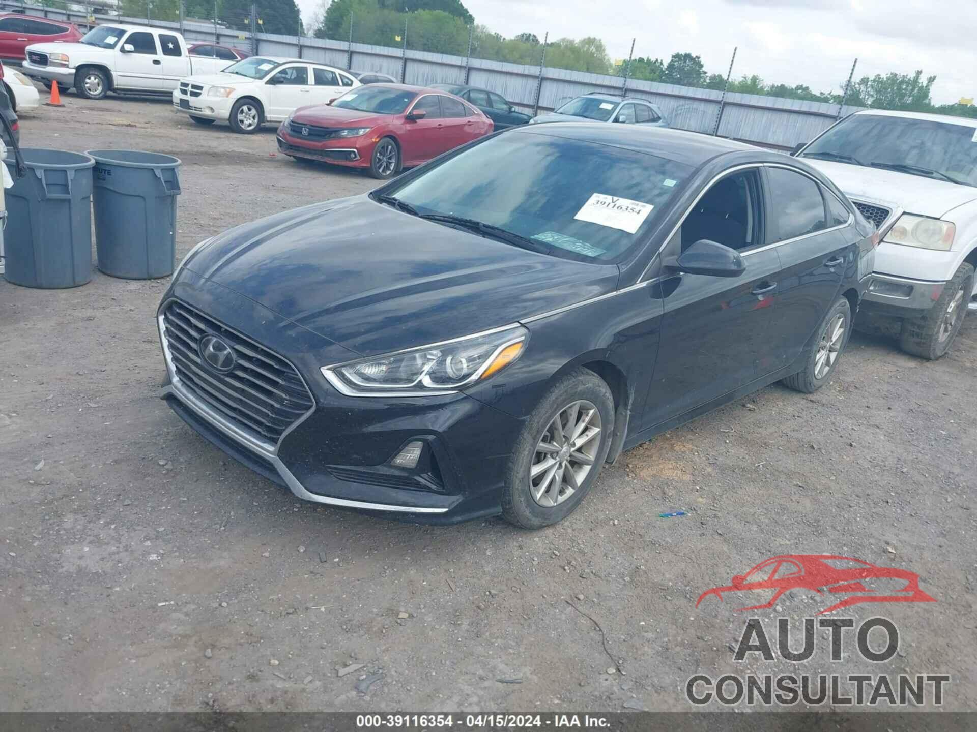 HYUNDAI SONATA 2019 - 5NPE24AF7KH740063