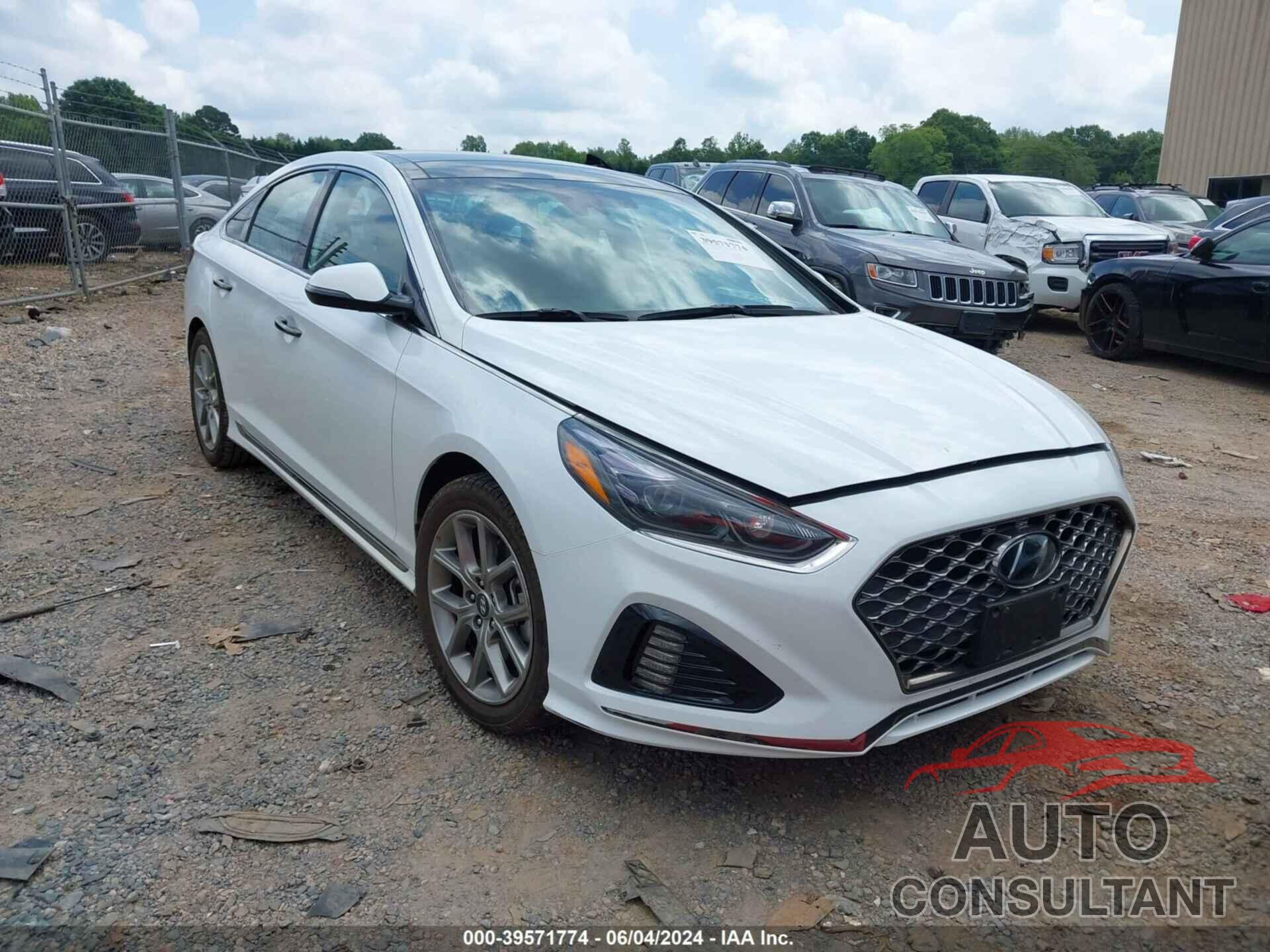 HYUNDAI SONATA 2019 - 5NPE34AB1KH775806