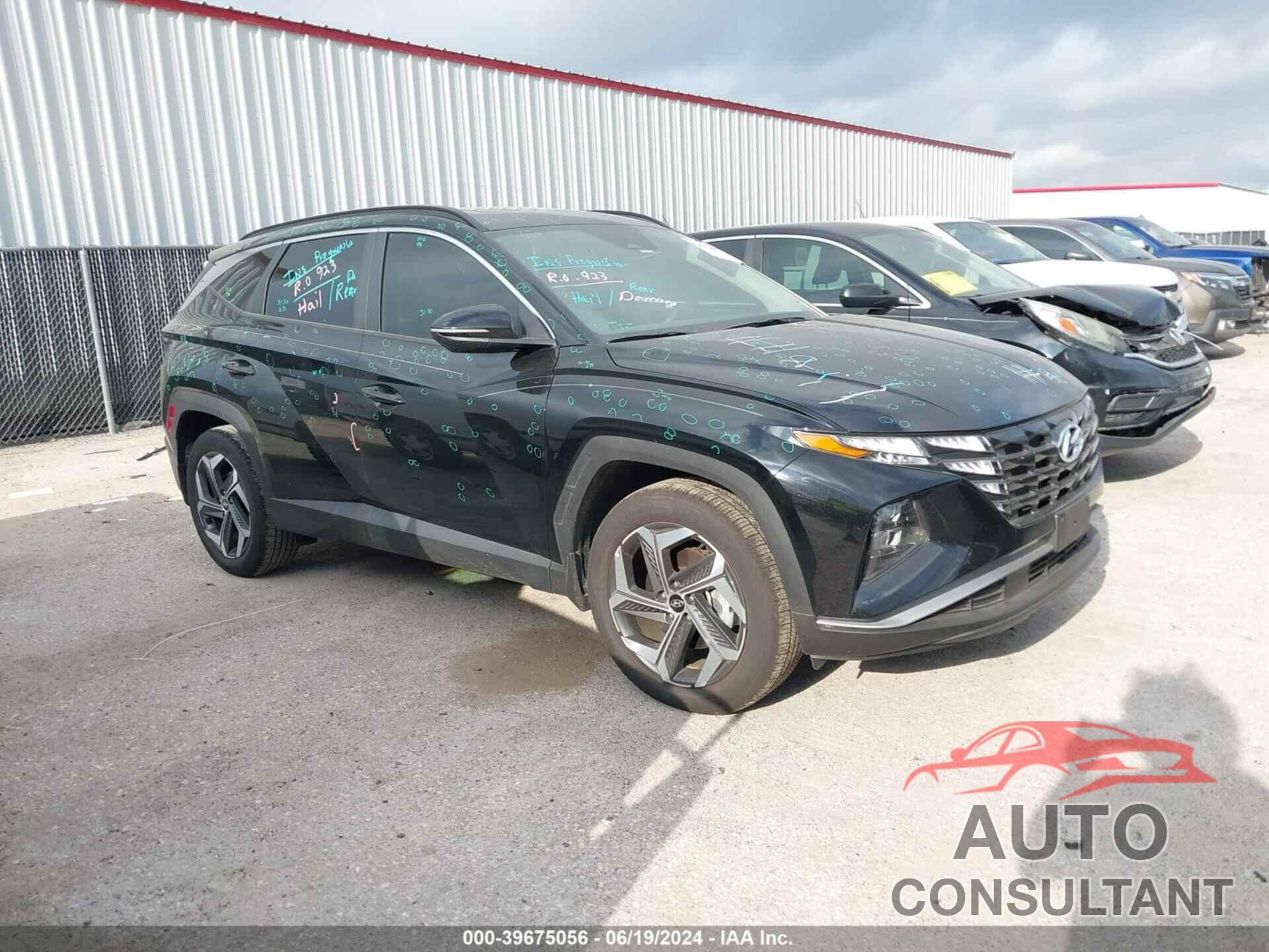 HYUNDAI TUCSON 2024 - 5NMJF3DE0RH387429