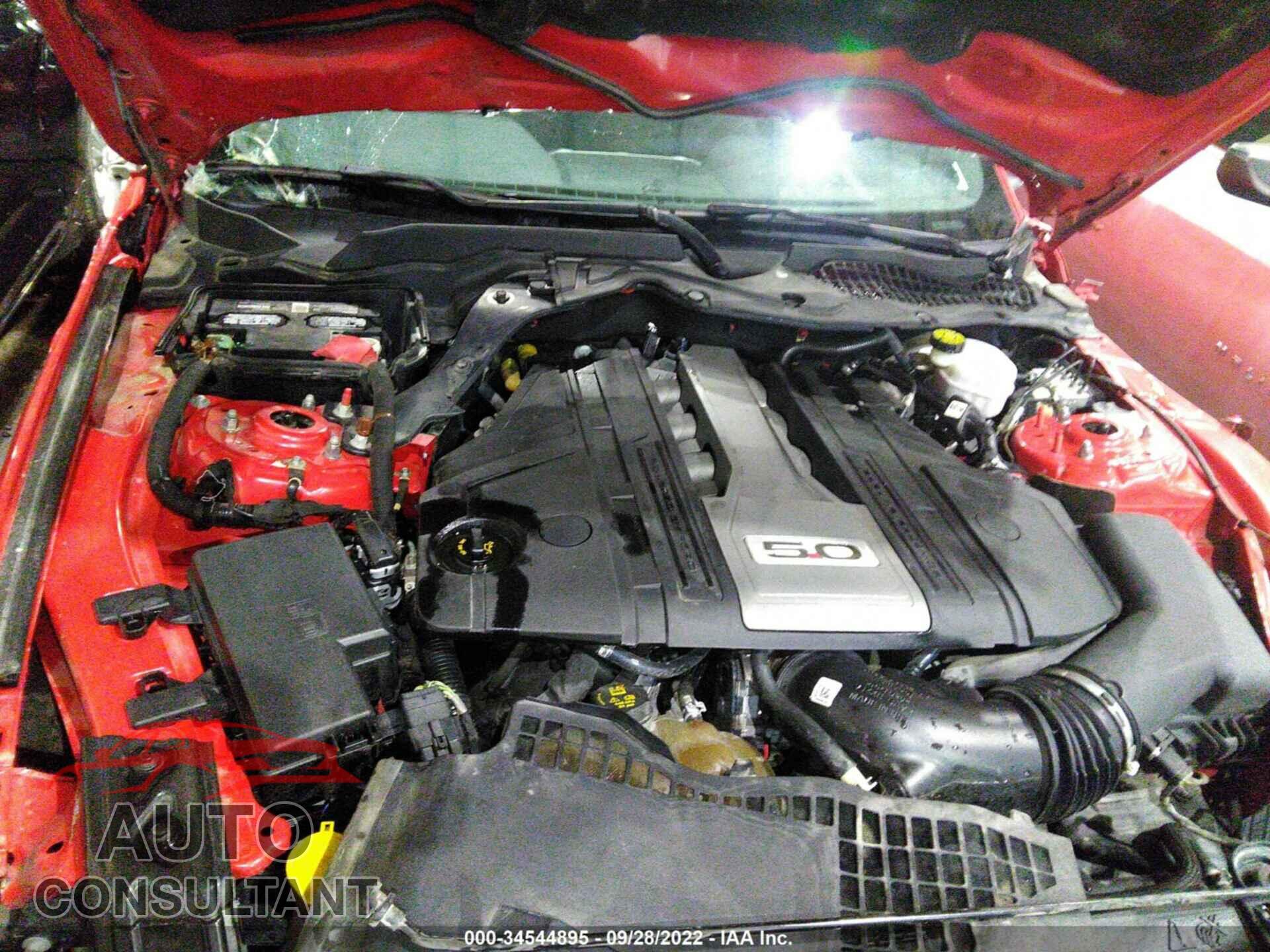 FORD MUSTANG 2019 - 00A6P8CF5K5157751