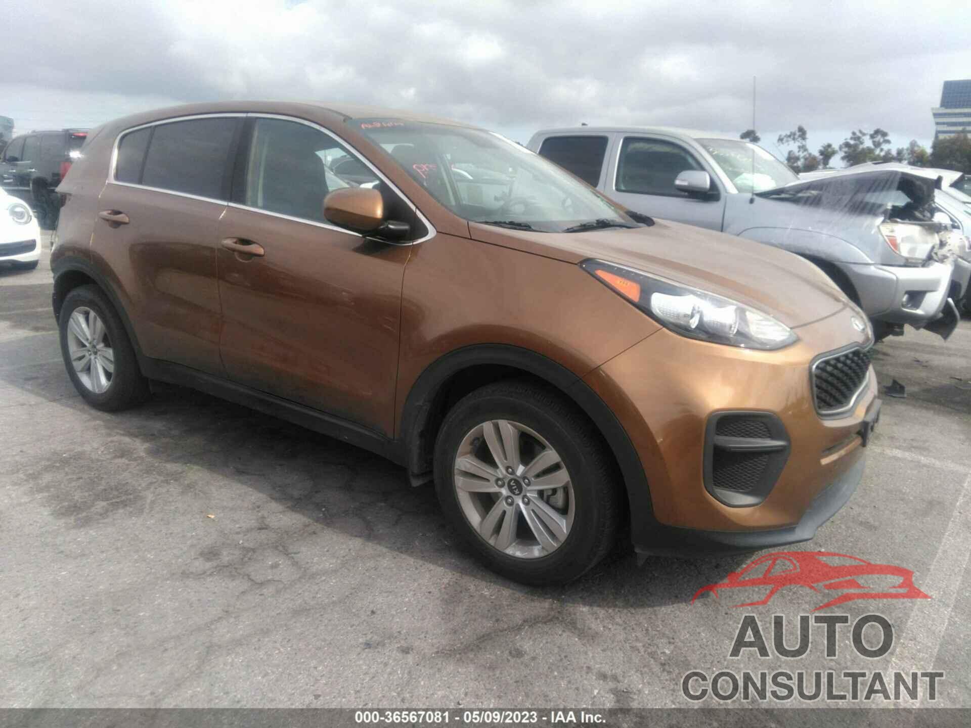 KIA SPORTAGE 2017 - KNDPM3ACXH7299903